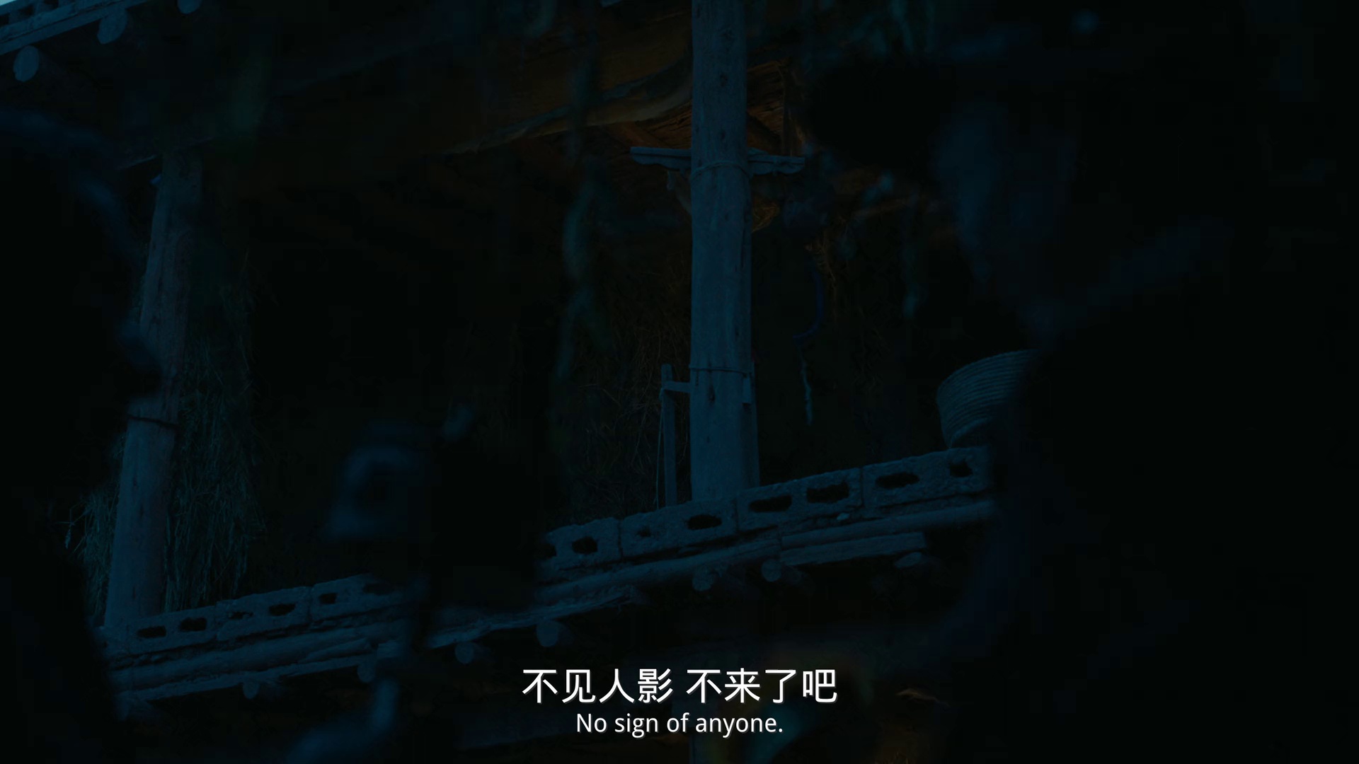 月光里的男孩 [国语配音/中文字幕].Dog.Tashi.2024.1080p.WEB-DL.H264.AAC-QuickIO 1.43GB-2.png