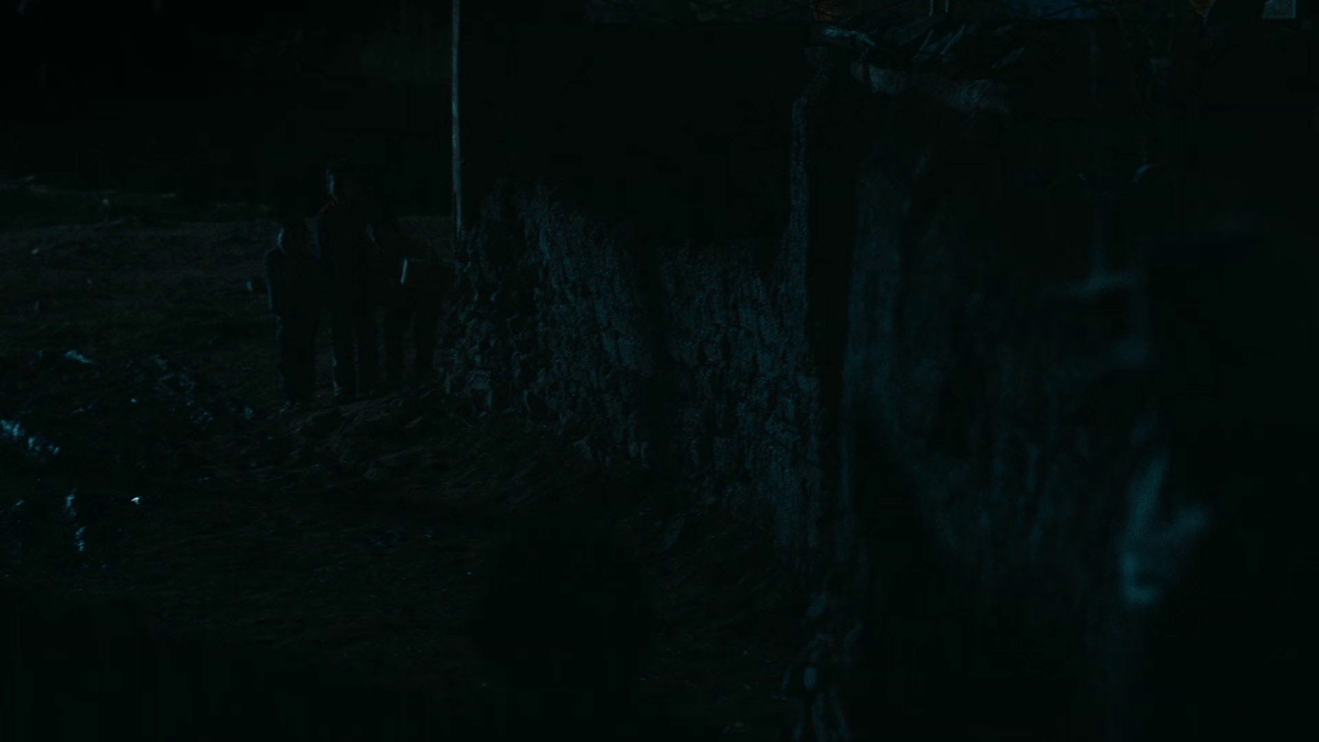 月光里的男孩 [国语配音/中文字幕].Dog.Tashi.2024.1080p.WEB-DL.H264.AAC-QuickIO 1.43GB-7.png