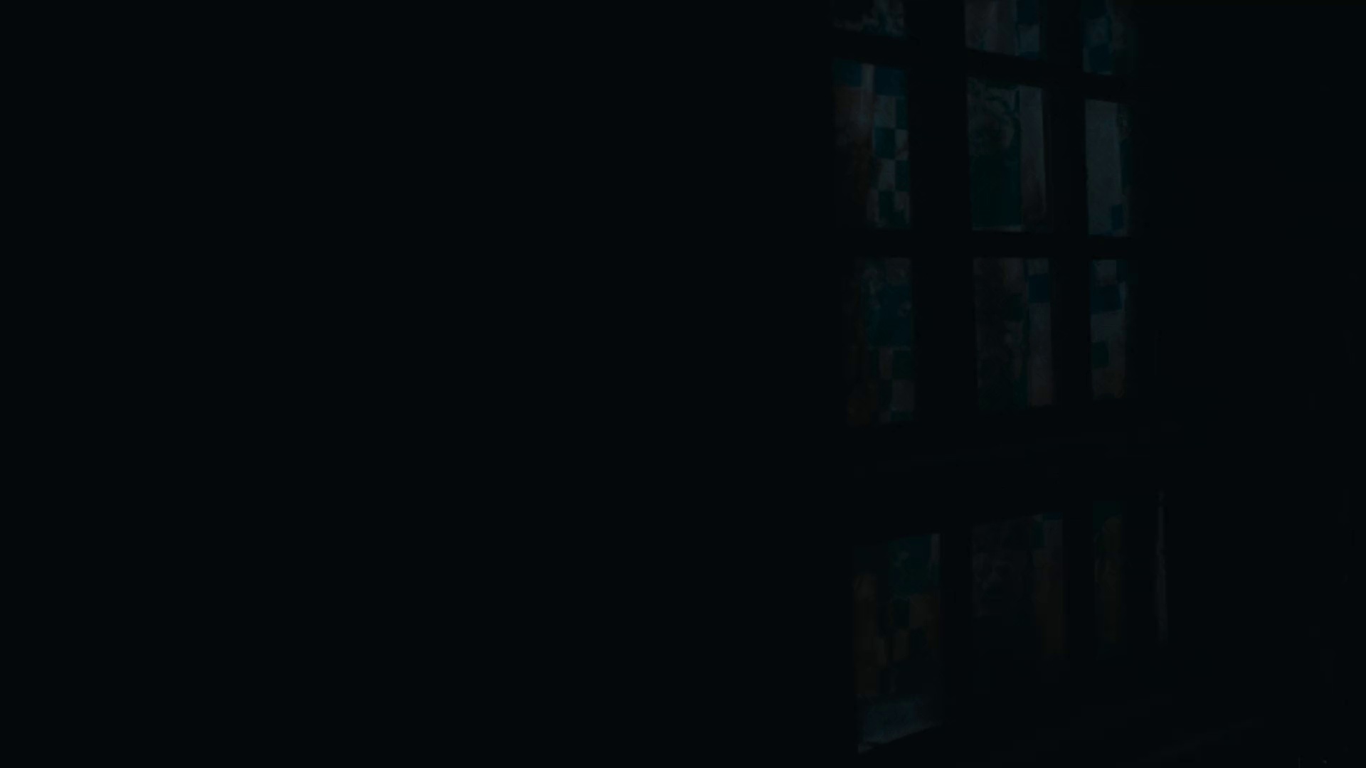 月光里的男孩 [国语配音/中文字幕].Dog.Tashi.2024.1080p.WEB-DL.H264.AAC-QuickIO 1.43GB-6.png