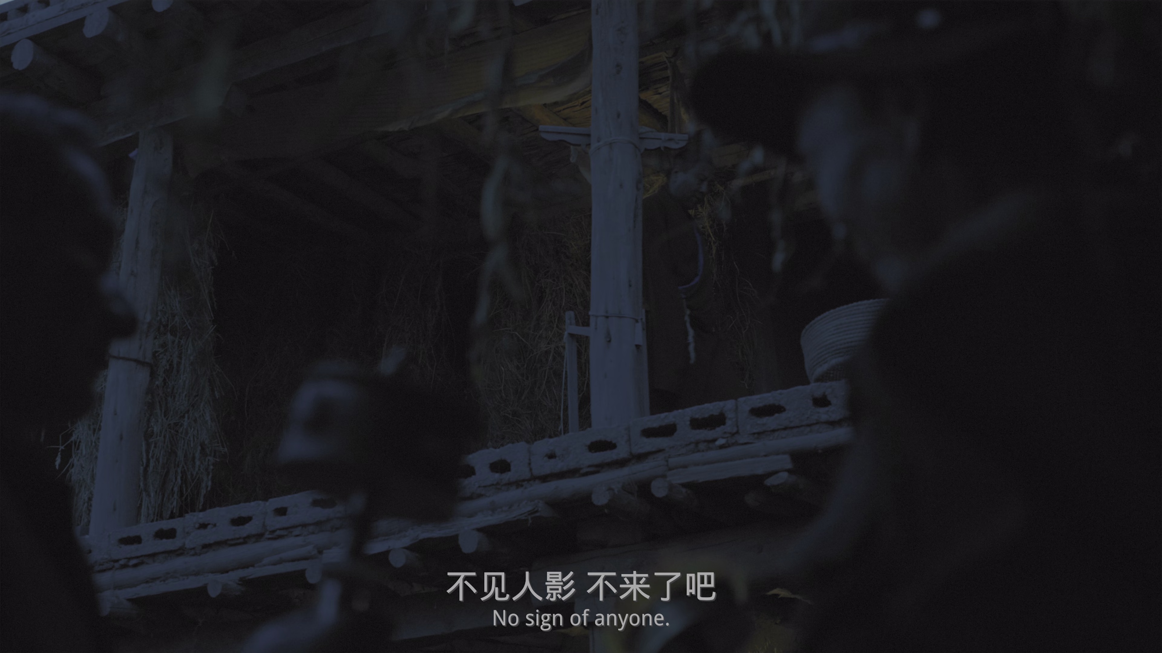 月光里的男孩 [国语配音/中文字幕].Dog.Tashi.2024.2160p.WEB-DL.H265.HDR.DDP5.1-QuickIO 8.16GB-2.png