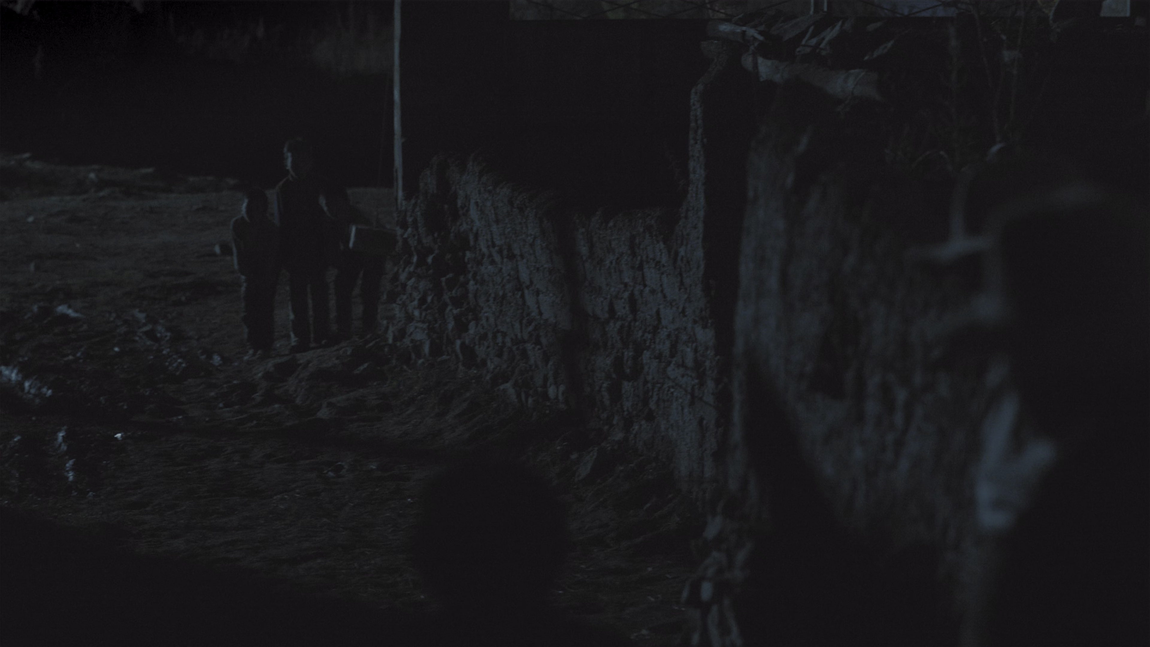 月光里的男孩 [国语配音/中文字幕].Dog.Tashi.2024.2160p.WEB-DL.H265.HDR.DDP5.1-QuickIO 8.16GB-7.png