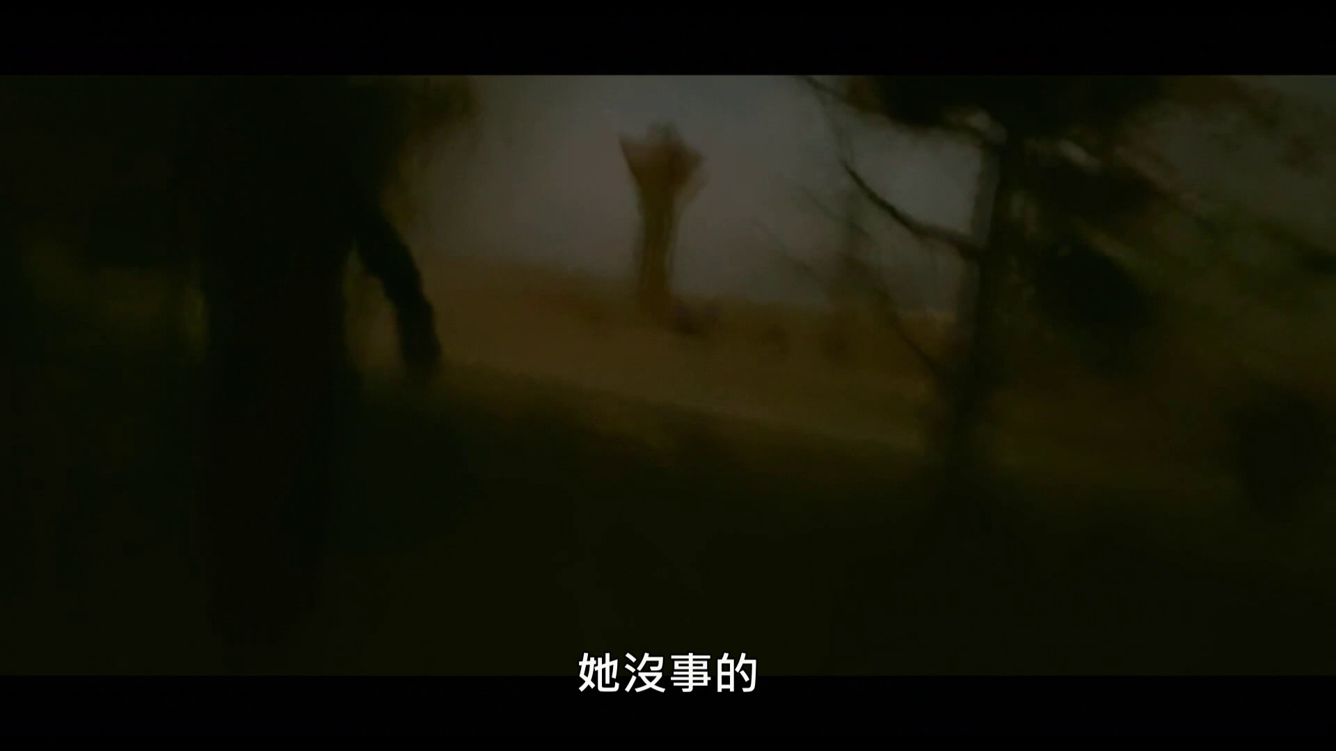 为了萨玛 [中文字幕].For.Sama.2020.1080p.HamiVideo.WEB-DL.AAC2.0.H.264-DreamHD 5.54GB-5.png