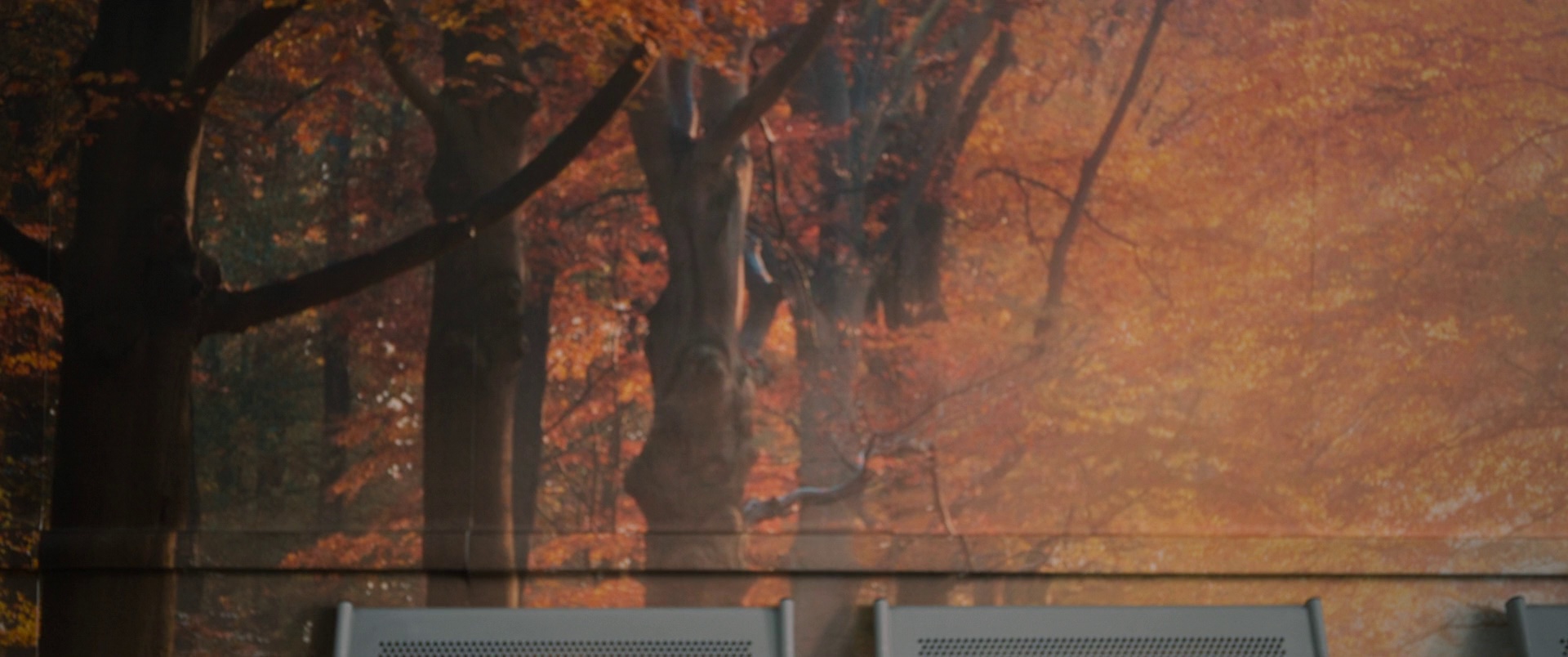 替补 [简繁英字幕].T.I.M.2023.Bluray.1080p.DTS-HDMA5.1.x264-DreamHD 10.88GB-3.png