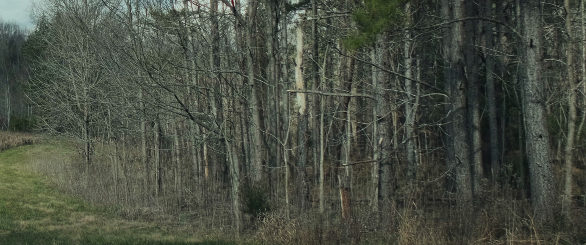 唇亡齿寒 [中文字幕].Tethered.2022.BluRay.1080p.DTS-HDMA2.0.x265.10bit-DreamHD 5.03GB-3.png