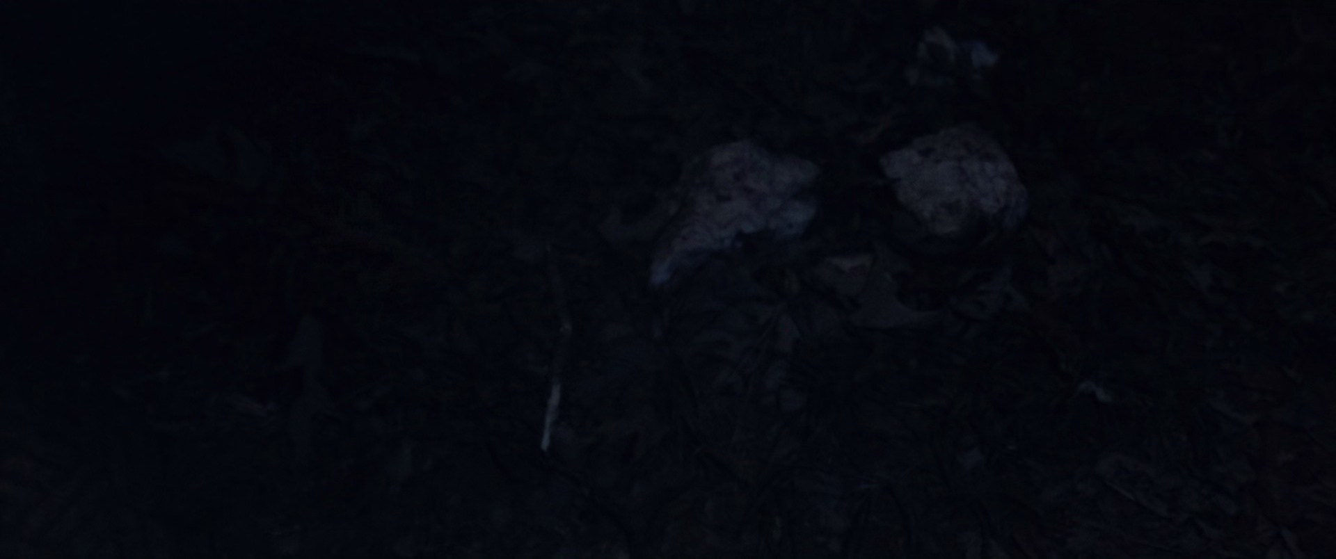 唇亡齿寒 [中文字幕].Tethered.2022.BluRay.1080p.DTS-HDMA2.0.x265.10bit-DreamHD 5.03GB-4.png