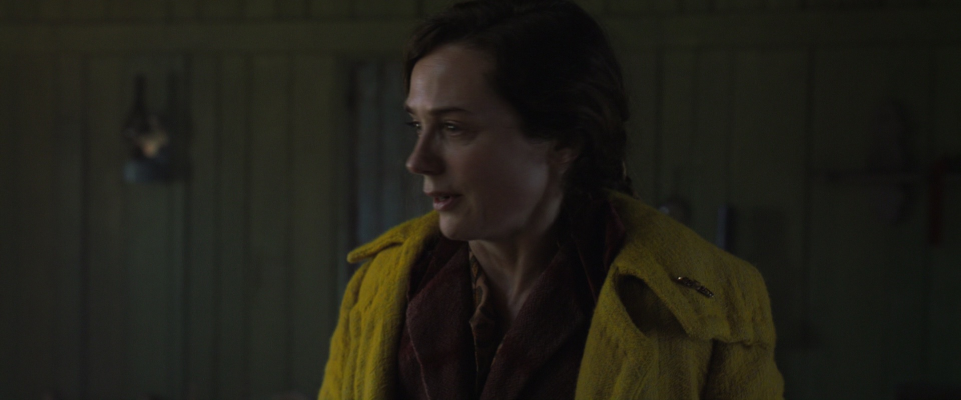 伊尼舍林的报丧女妖 [简繁英字幕].The.Banshees.of.Inisherin.2022.BluRay.1080p.DTS.HDMA5.1.x265.10bit-DreamHD 7.78GB-6.png