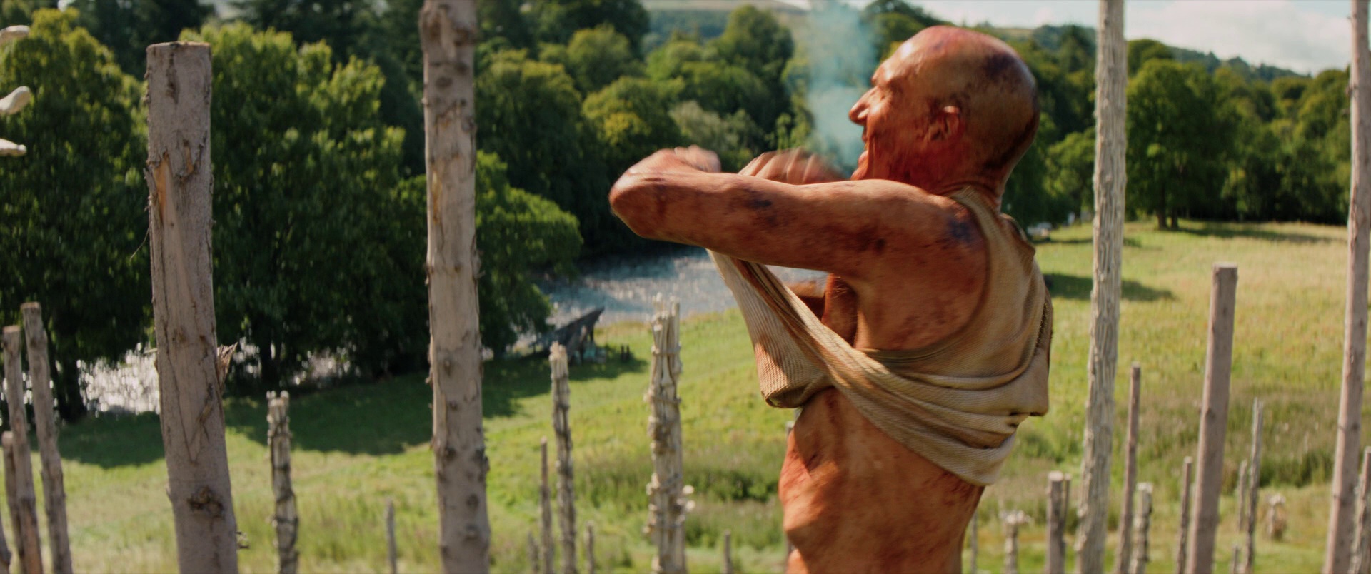 惊变28年2：白骨圣殿 [简繁英字幕].28.Years.Later.The.Bone.Temple.2026.BluRay.1080p.DTS-HDMA5.1.x264-DreamHD 12.63GB-3.png