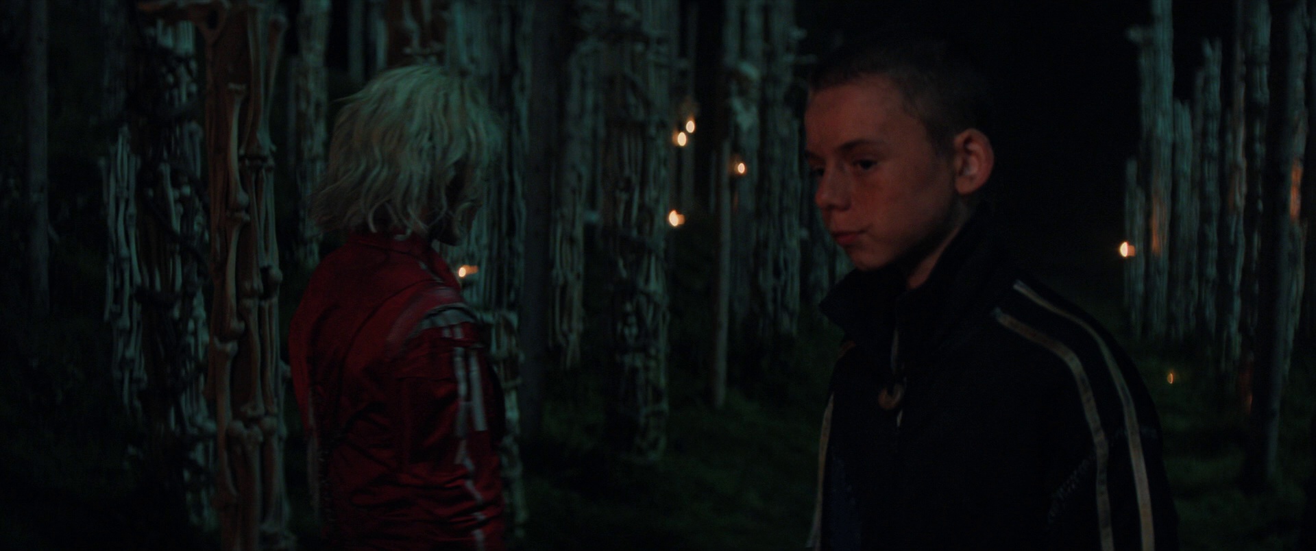 惊变28年2：白骨圣殿 [简繁英字幕].28.Years.Later.The.Bone.Temple.2026.BluRay.1080p.DTS-HDMA5.1.x264-DreamHD 12.63GB-7.png