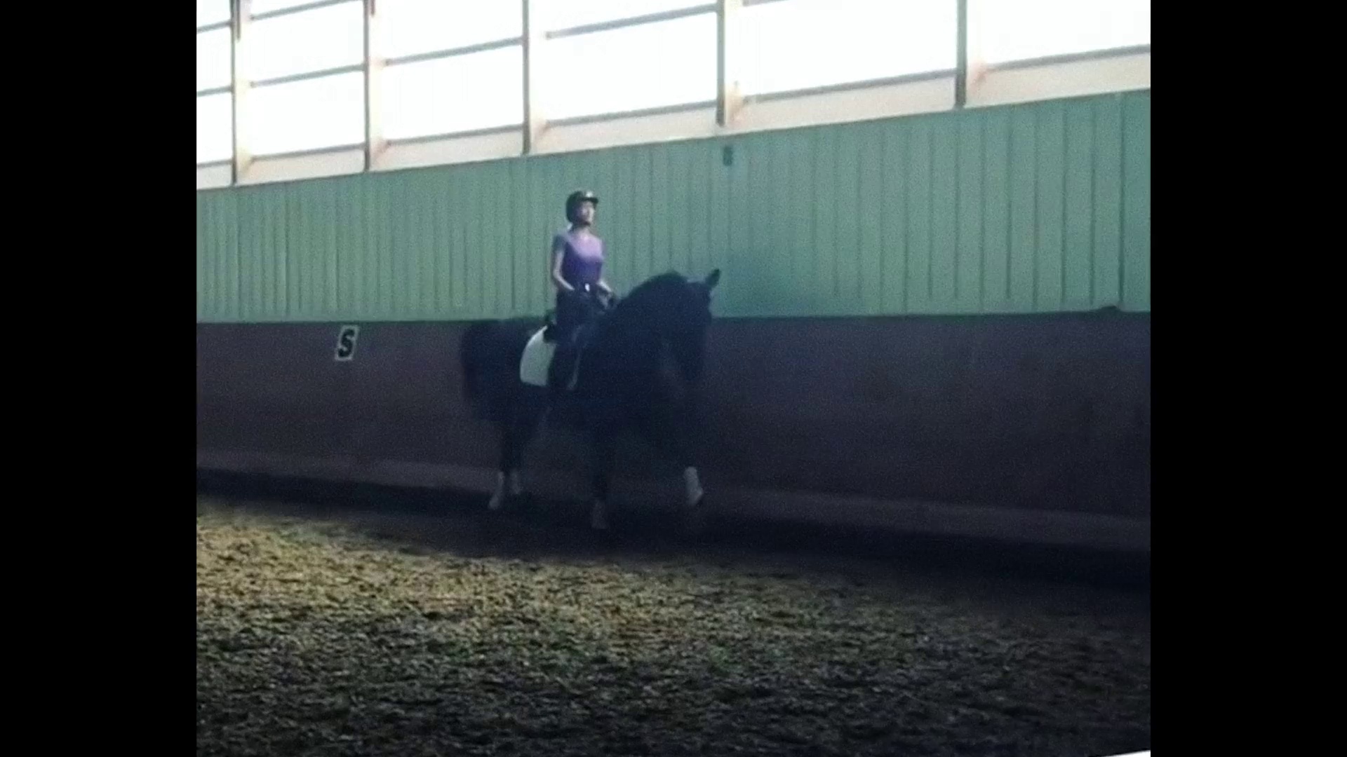 体坛秘史：马术名将枪击案 [简繁英字幕].2026.1080p.NF.WEB-DL.DDP.5.1.Atmos.H.264-DreamHD 2.89GB-2.png