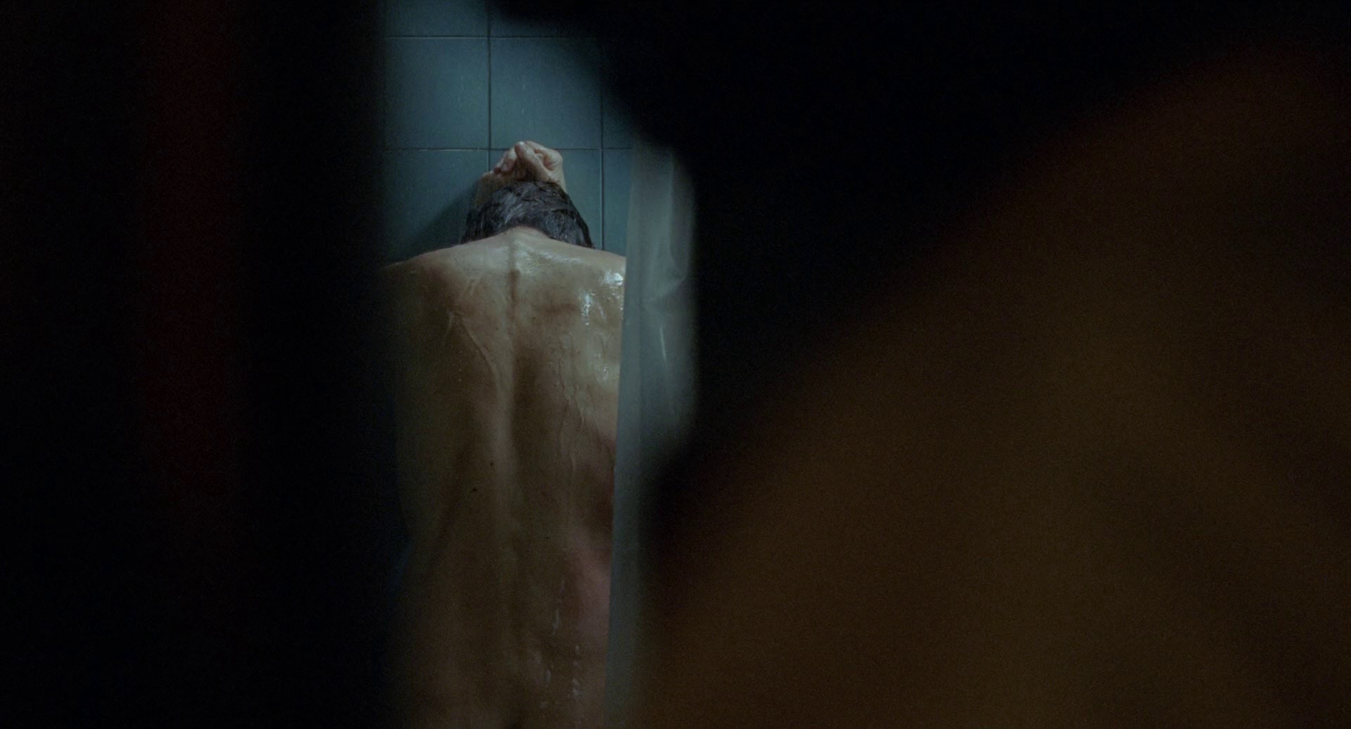 我仍在此 [简繁字幕].I'm.Still.Here.2024.1080p.BluRay.x264.DTS-CTRLHD 17.03GB-4.png