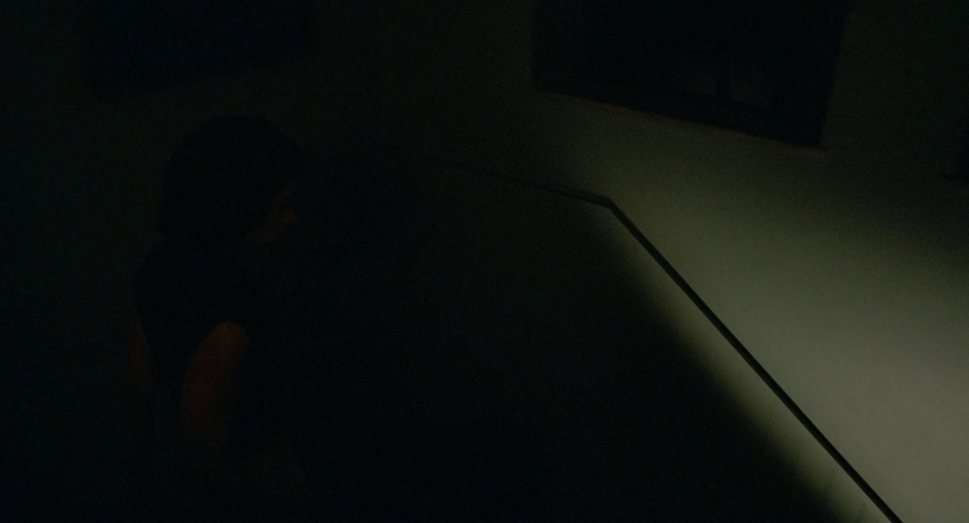 我仍在此 [简繁字幕].I'm.Still.Here.2024.2024.1080p.BluRay.x265.10bit.DTS-CTRLHD 10.81GB-3.png