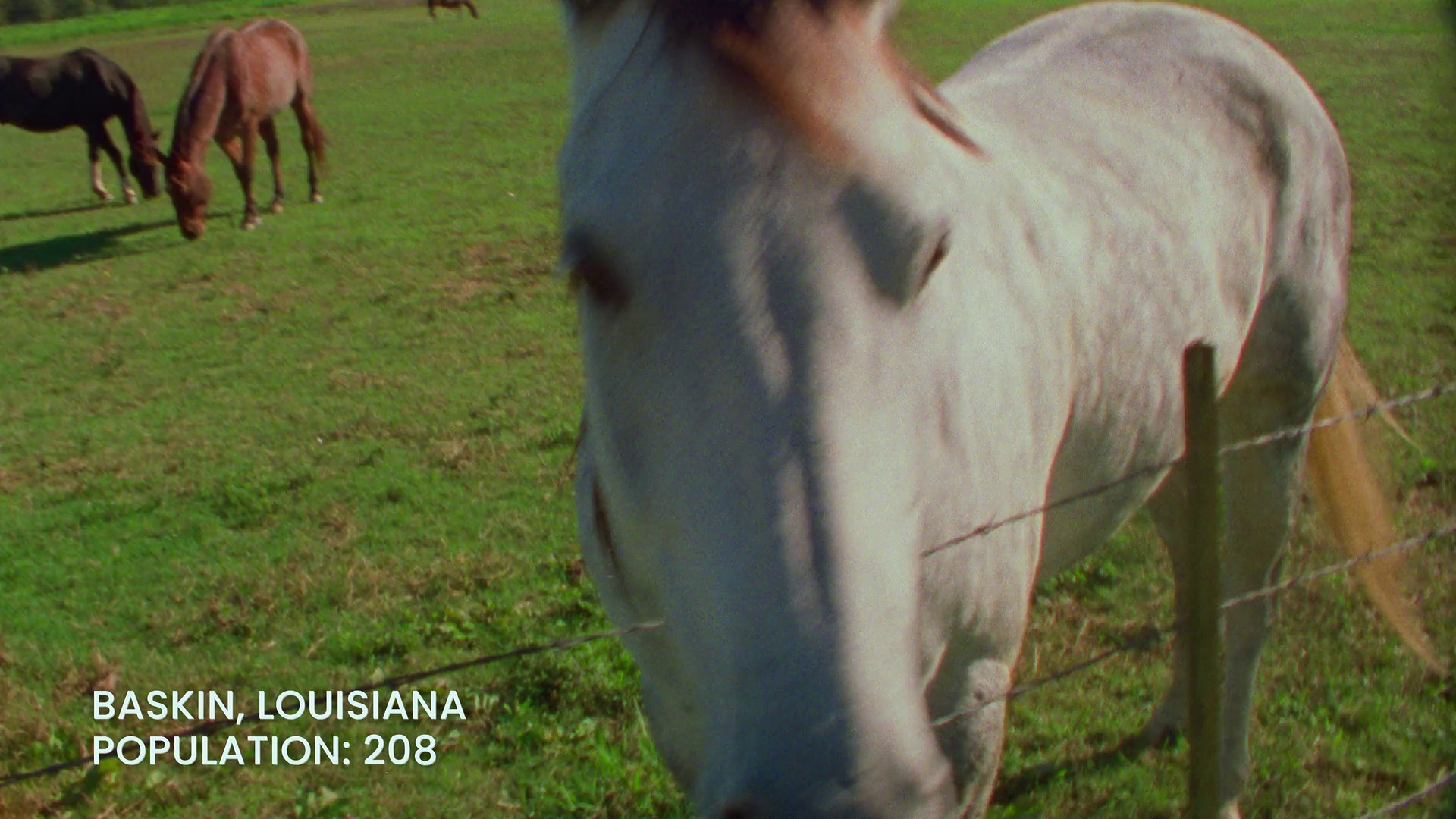 莱尼·威尔逊：酷炫乡村乐 [简繁英字幕].2026.1080p.NF.WEB-DL.DDP.5.1.Atmos.H.264-DreamHD 3.34GB-2.png