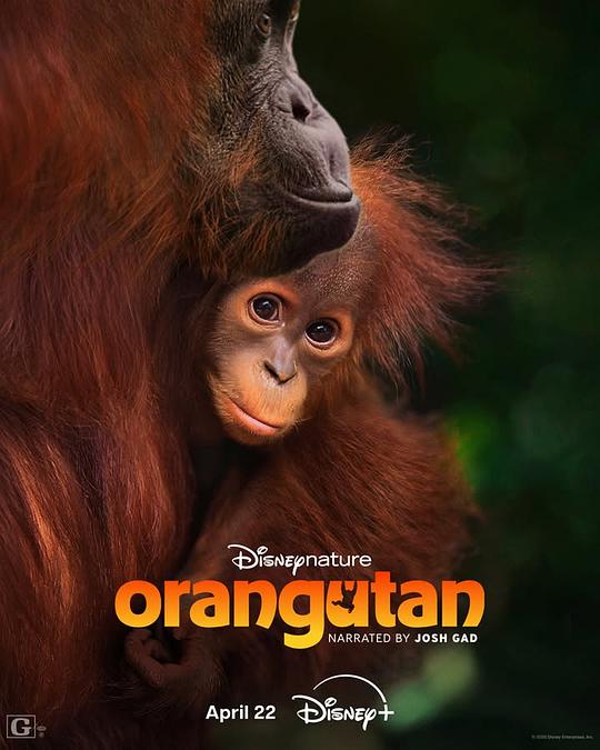 红毛猩猩 [简繁英字幕].Orangutan.2026.1080p.DSNP.WEB-DL.DDP.5.1.Atmos.H.264-DreamHD 4.60GB-1.png