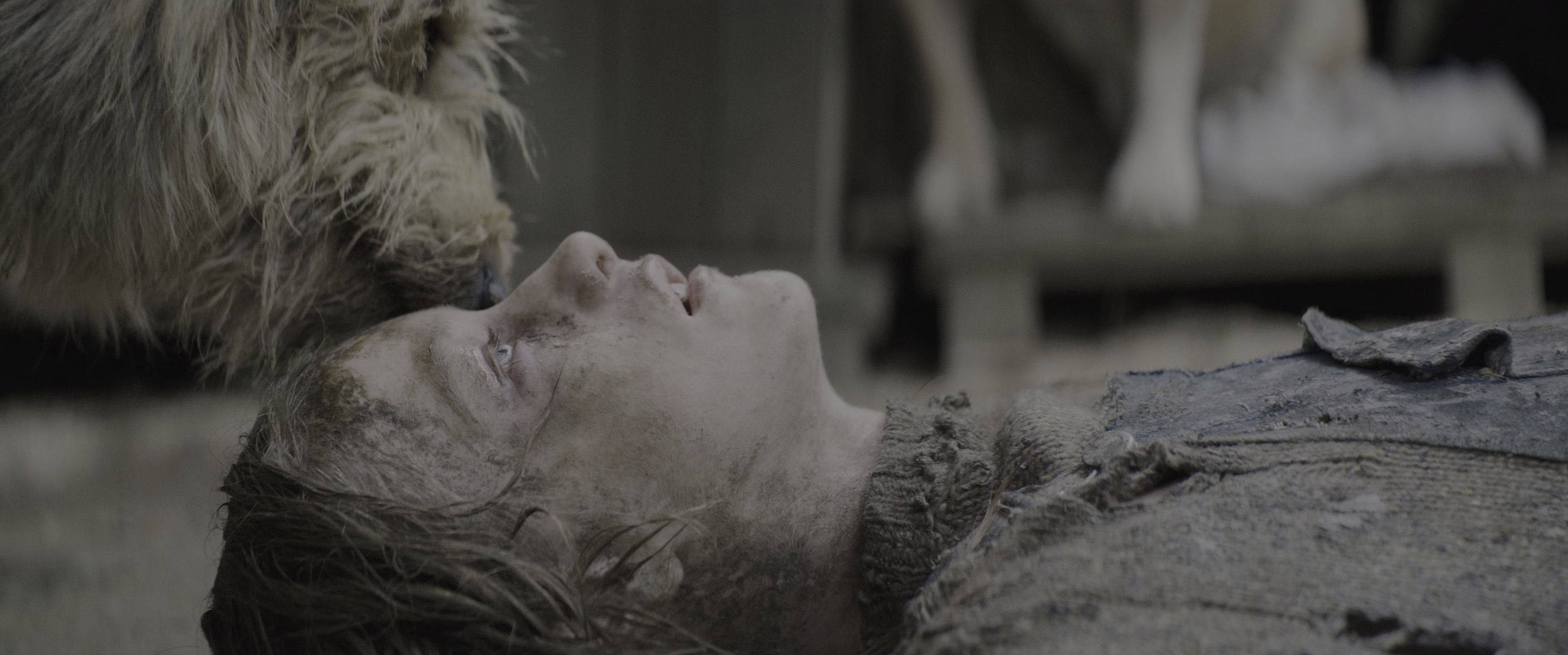 狗神 [HDR/杜比视界双版本][国英多音轨/特效中文字幕].2023.GER.BluRay.2160p.TrueHD7.1.DoVi.HDR10.x265.10bit-DreamHD 41.29GB-3.png