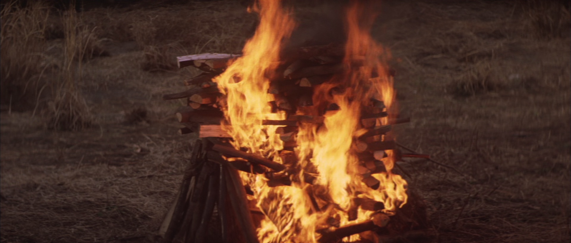 哥斯拉对黑多拉 [简繁英字幕].Godzilla.vs.Hedorah.1971.CC.Bluray.1080p.LPCM1.0.x265.10bit-DreamHD 4.35GB-5.png