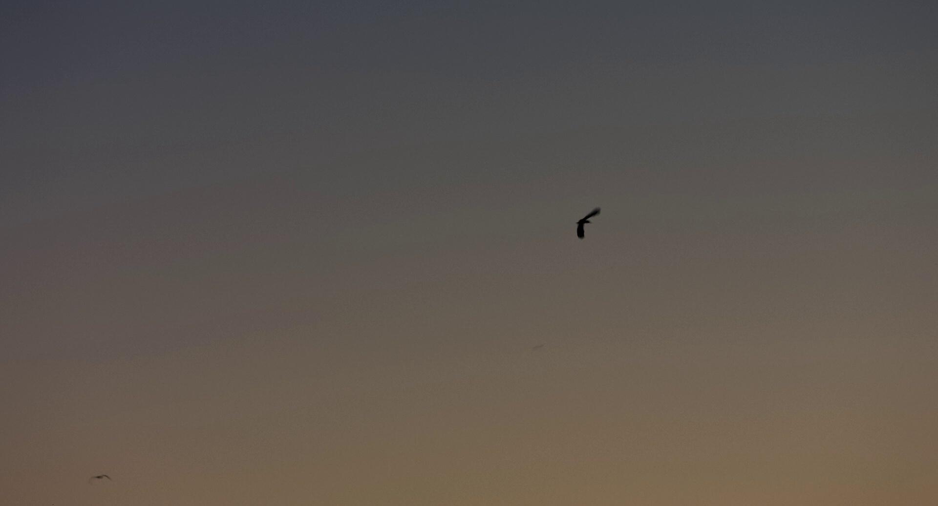 乘船而去 [国语配音/中文字幕].Gone.with.the.Boat.2023.Bluray.1080p.DTS-HDMA5.1.x264-DreamHD 11.87GB-7.png