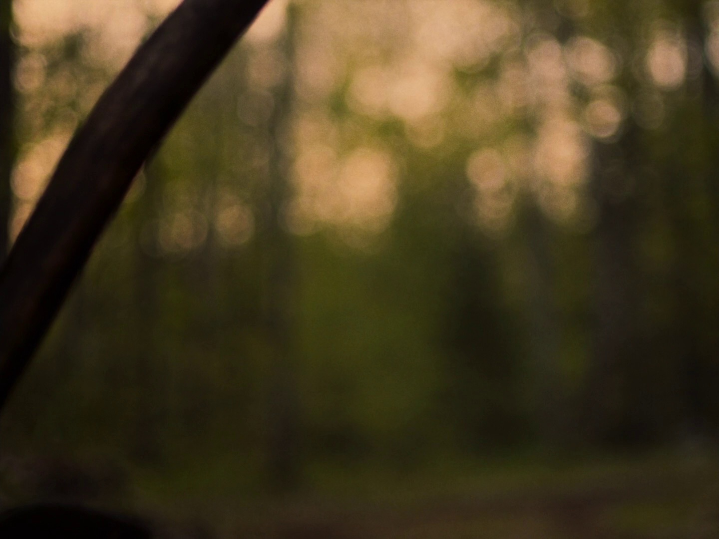 暴力本性 [中文字幕].In.A.Violent.Nature.2024.BluRay.1080p.DTS-HDMA5.1.x264-DreamHD 13.57GB-5.png