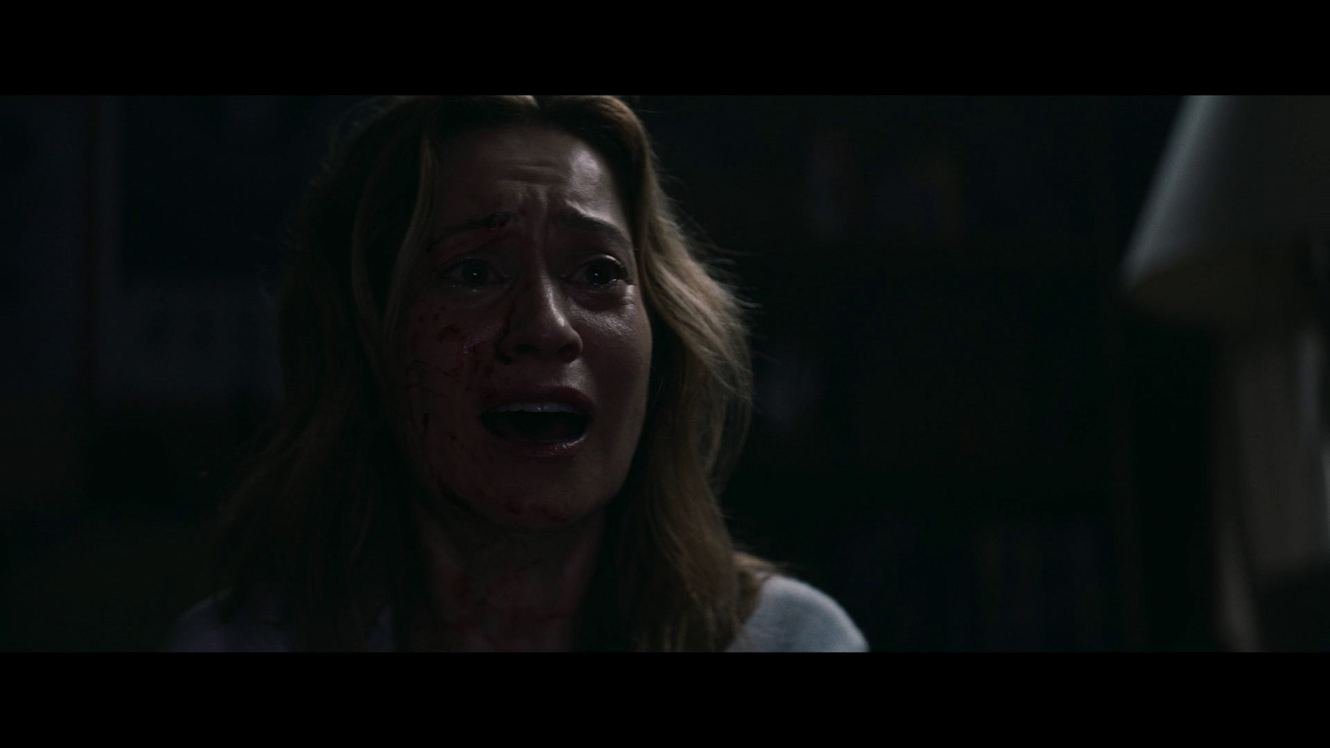 寻踪迷镇 [中文字幕].Shelby.Oaks.2024.1080p.WEB-DL.H264.AAC-QuickIO 6.13GB-3.png