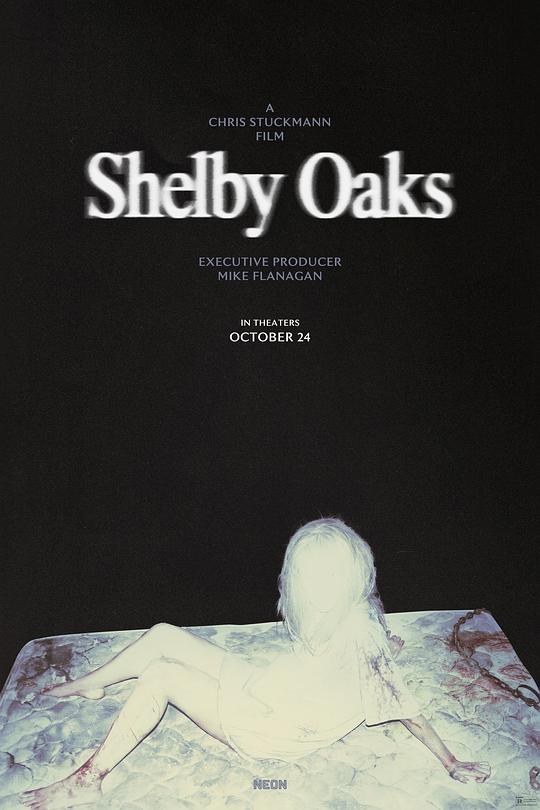 寻踪迷镇 [中文字幕].Shelby.Oaks.2024.1080p.WEB-DL.H264.AAC-QuickIO 6.13GB-1.png