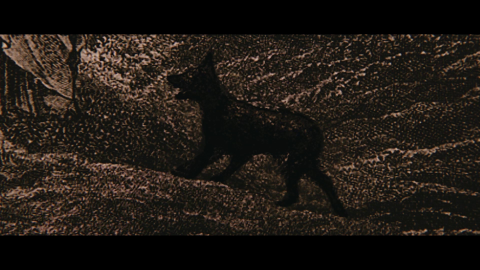 寻踪迷镇 [中文字幕].Shelby.Oaks.2024.1080p.WEB-DL.H264.AAC-QuickIO 6.13GB-4.png