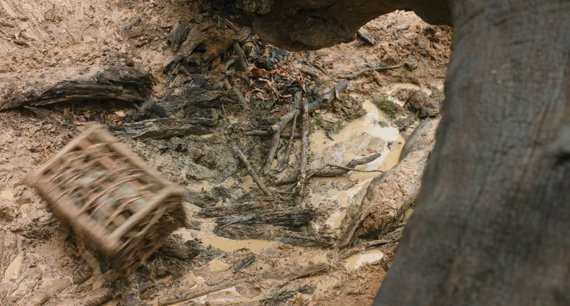 熊猫计划之部落奇遇记 [国语配音/中文字幕].Panda.Plan_.The.Magical.Tribe.2026.1080p.WEB-DL.H264.AAC-PandaQT 1.83GB-6.png