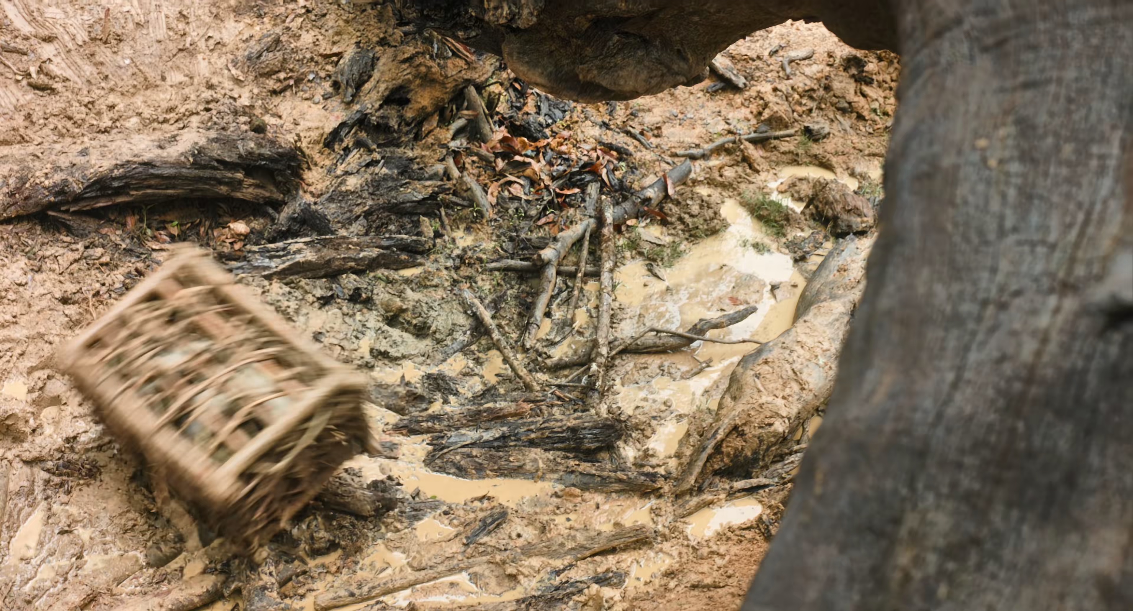 熊猫计划之部落奇遇记 [国语配音/中文字幕].Panda.Plan.2.2026.2160p.WEB-DL.H265.DDP5.1-QuickIO 4.20GB-6.png