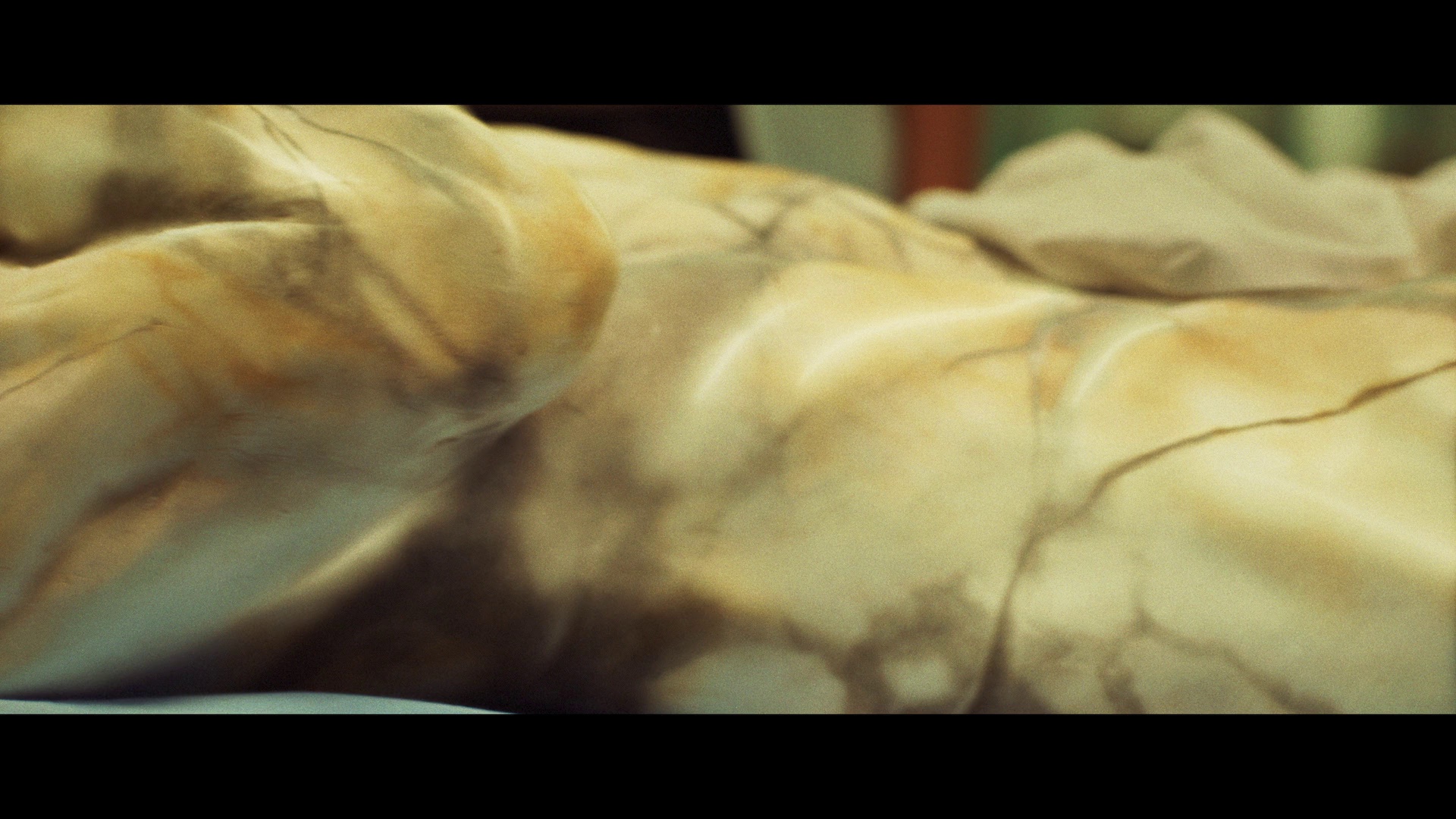 阿尔法 [简繁英字幕].Alpha.2025.REMUX.Bluray.1080p.AVC.DTS-HDMA5.1-DreamHD 31.39GB-2.png