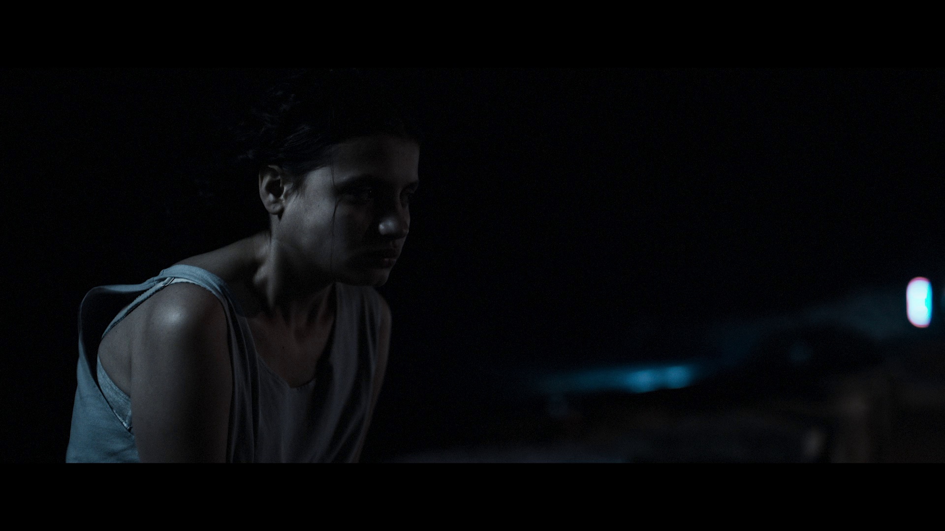 阿尔法 [简繁英字幕].Alpha.2025.REMUX.Bluray.1080p.AVC.DTS-HDMA5.1-DreamHD 31.39GB-6.png