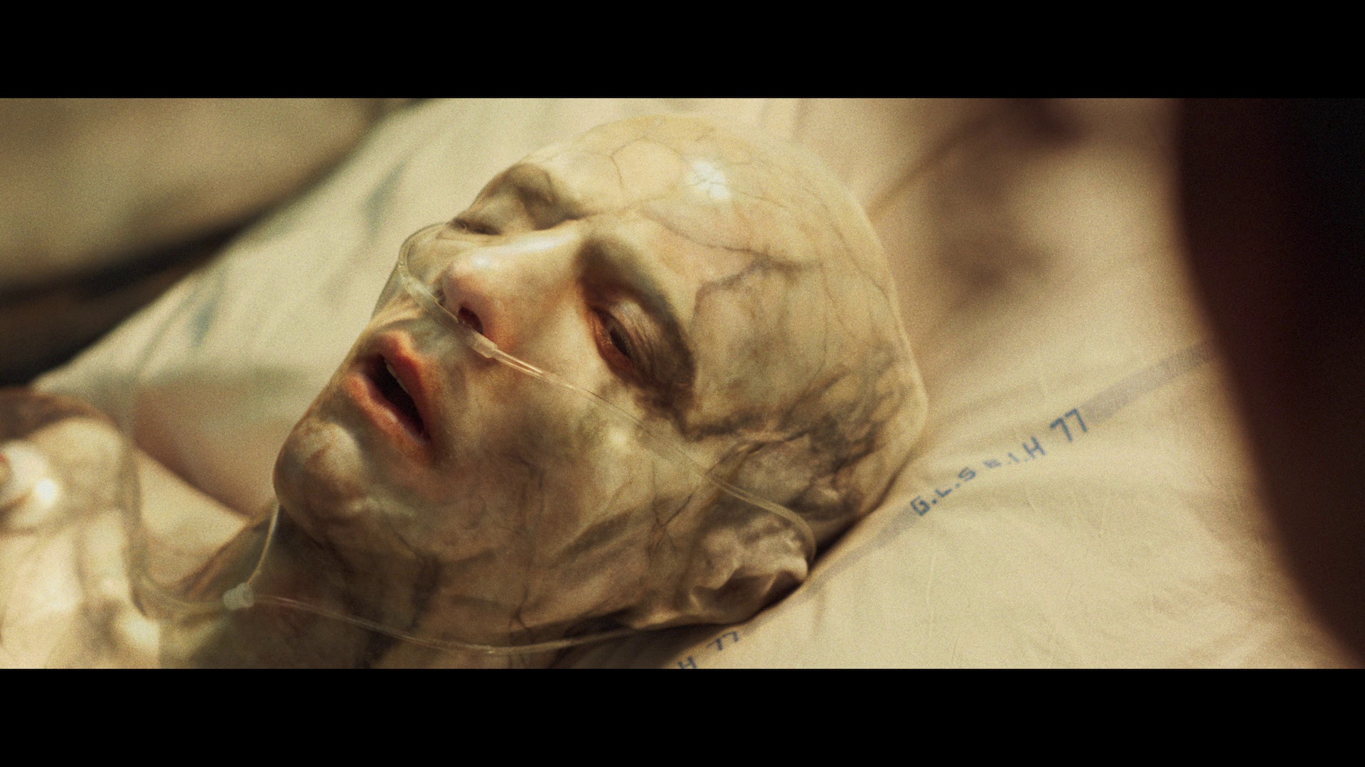 阿尔法 [简繁英字幕].Alpha.2025.REMUX.Bluray.1080p.AVC.DTS-HDMA5.1-DreamHD 31.39GB-7.png