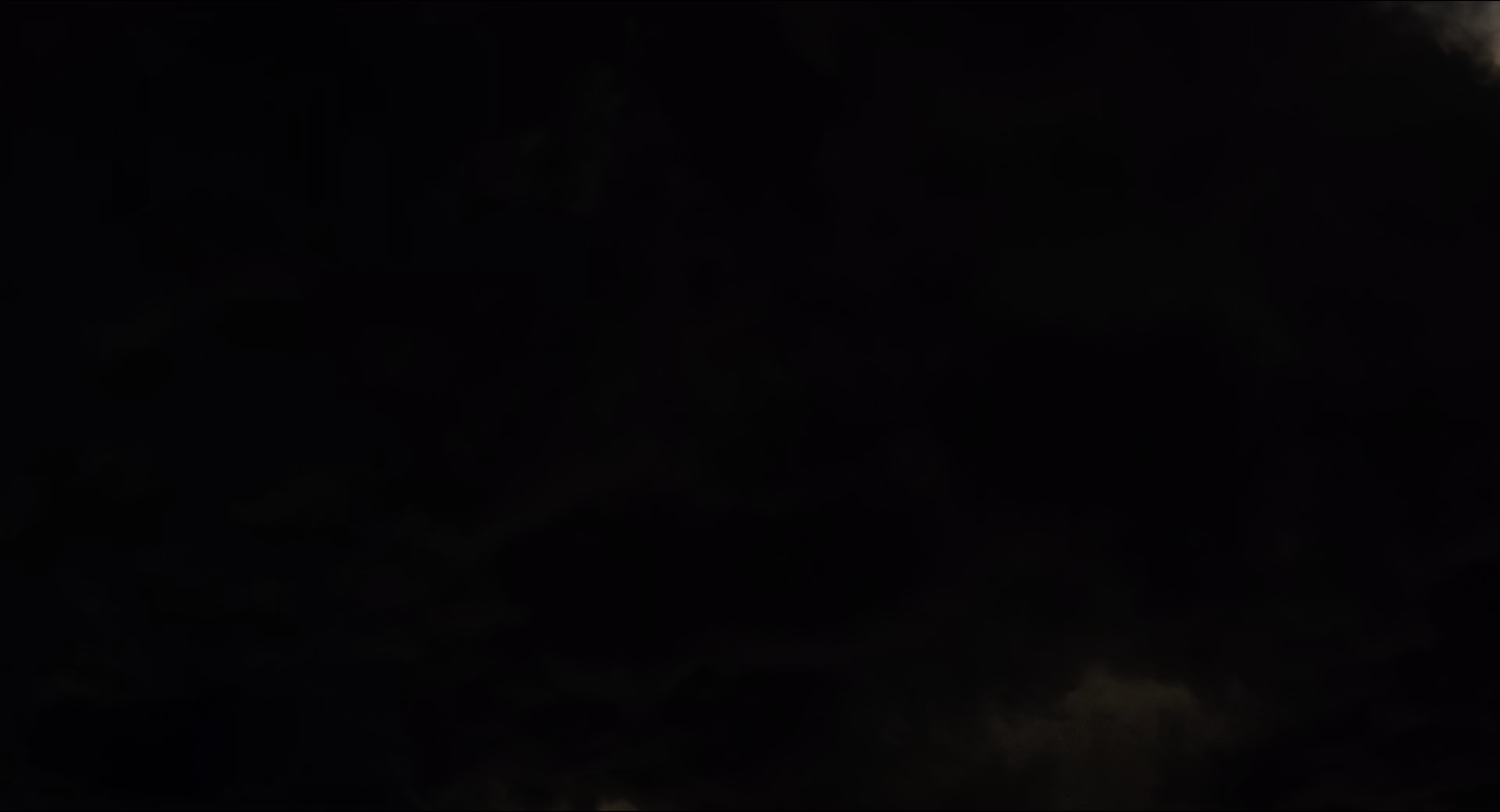 熊猫计划之部落奇遇记 [60帧率版本][高码版][国语配音/中文字幕].2026.2160p.WEB-DL.H265.HQ.60fps.DTS5.1-PandaQT 17.08GB-7.png