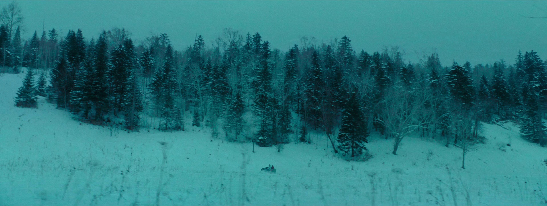 雪暴 [国语配音].Savage.2018.BluRay.1080p.DTS-HDMA5.1.x264-DreamHD 12.14GB-5.png