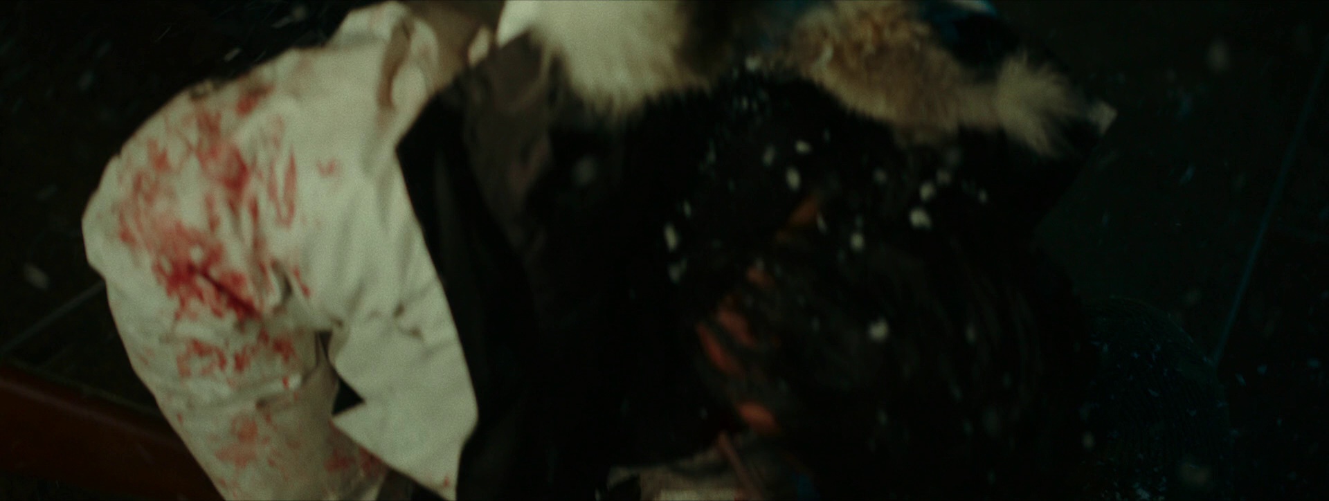 雪暴 [国语配音].Savage.2018.BluRay.1080p.DTS-HDMA5.1.x264-DreamHD 12.14GB-7.png