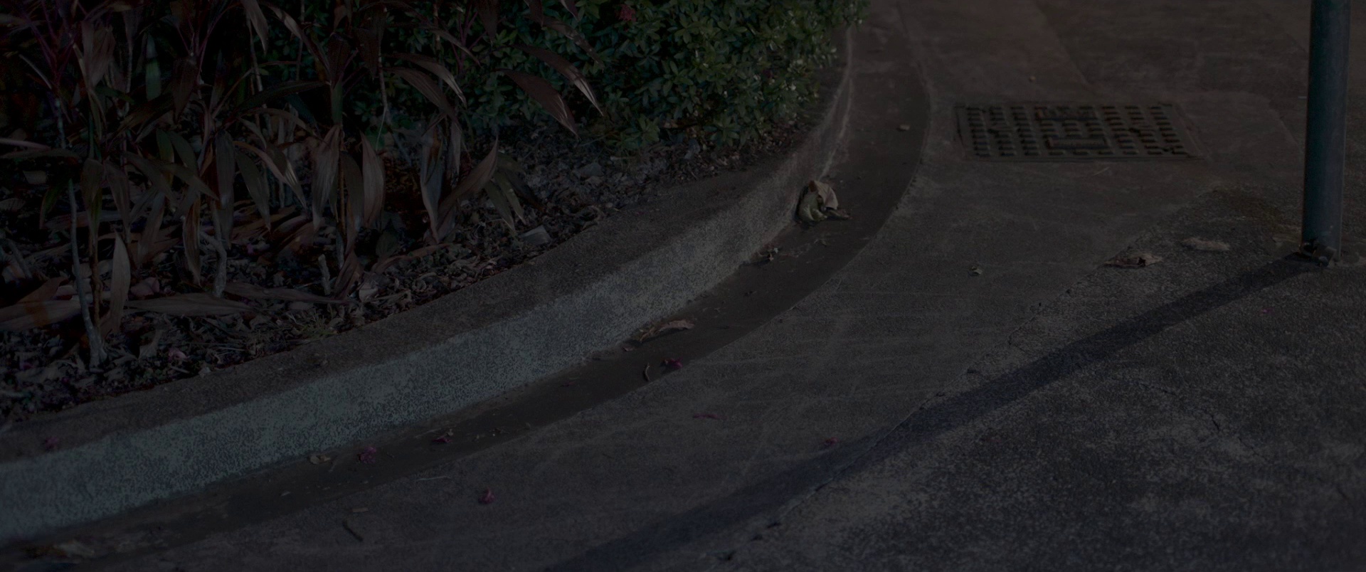 像我这样的爱情 [国粤多音轨/简繁字幕].Someone.Like.Me.2025.1080p.BluRay.x264-CTRLHD 10.00GB-5.png