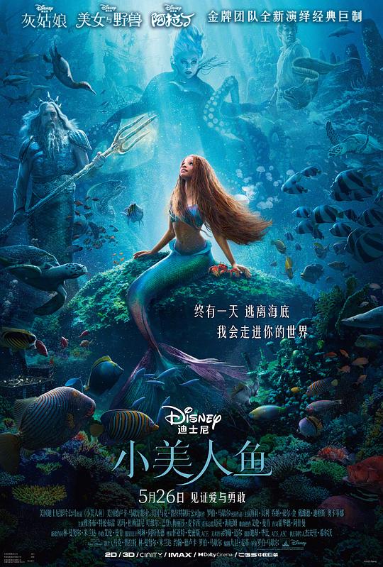 小美人鱼 [国英多音轨/简繁英特效字幕].The.Little.Mermaid.2023.V2.BluRay.1080p.DTS-HDMA7.1.x265.10bit-DreamHD 11.37GB-1.png