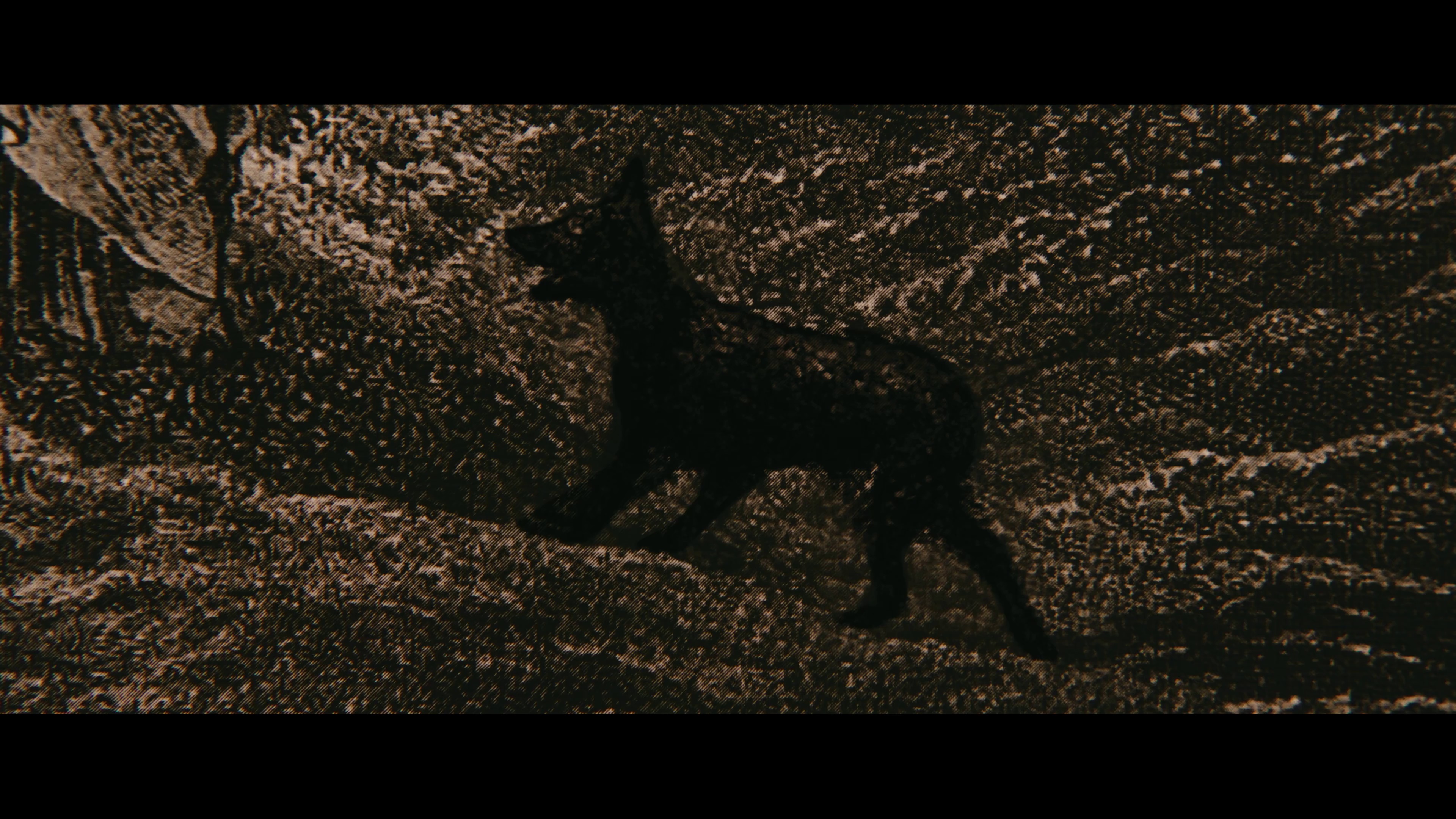 寻踪迷镇 [30帧率版本][中文字幕].Shelby.Oaks.2025.2 160p.HamiVideo.WEB-DL.DD5.1.H.264-DreamHD 11.16GB-4.png