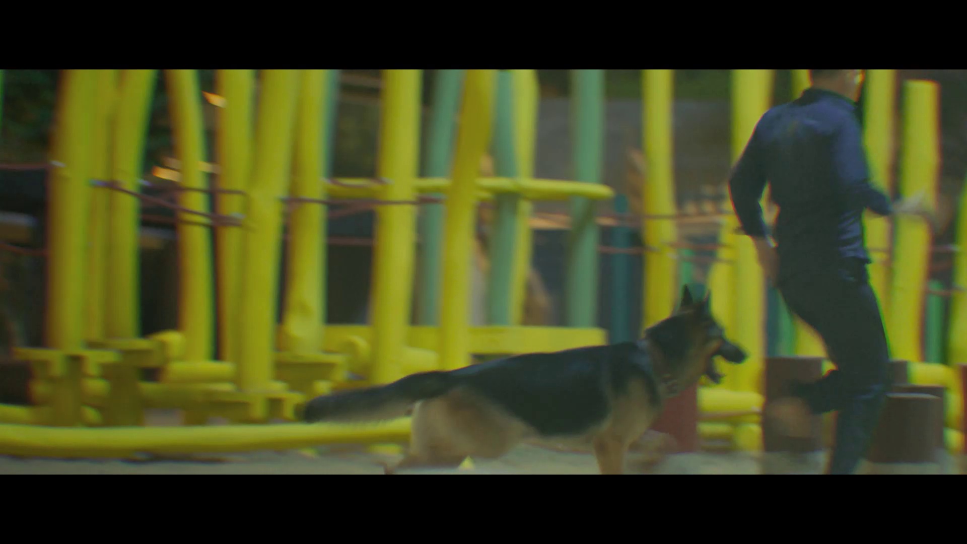 动物园先生 [简繁英字幕].Mr.Zoo.2020.1080p.CATCHPLAY.WEB-DL.H264.AAC-QuickIO 3.31GB-7.png