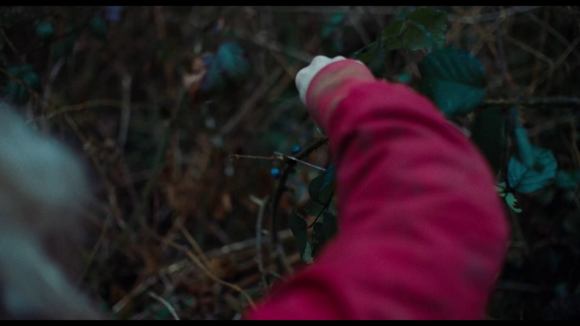 狩猎 [中文字幕].Hunted.2020.1080p.CATCHPLAY.WEB-DL.H264.AAC-QuickIO 2.48GB-4.png