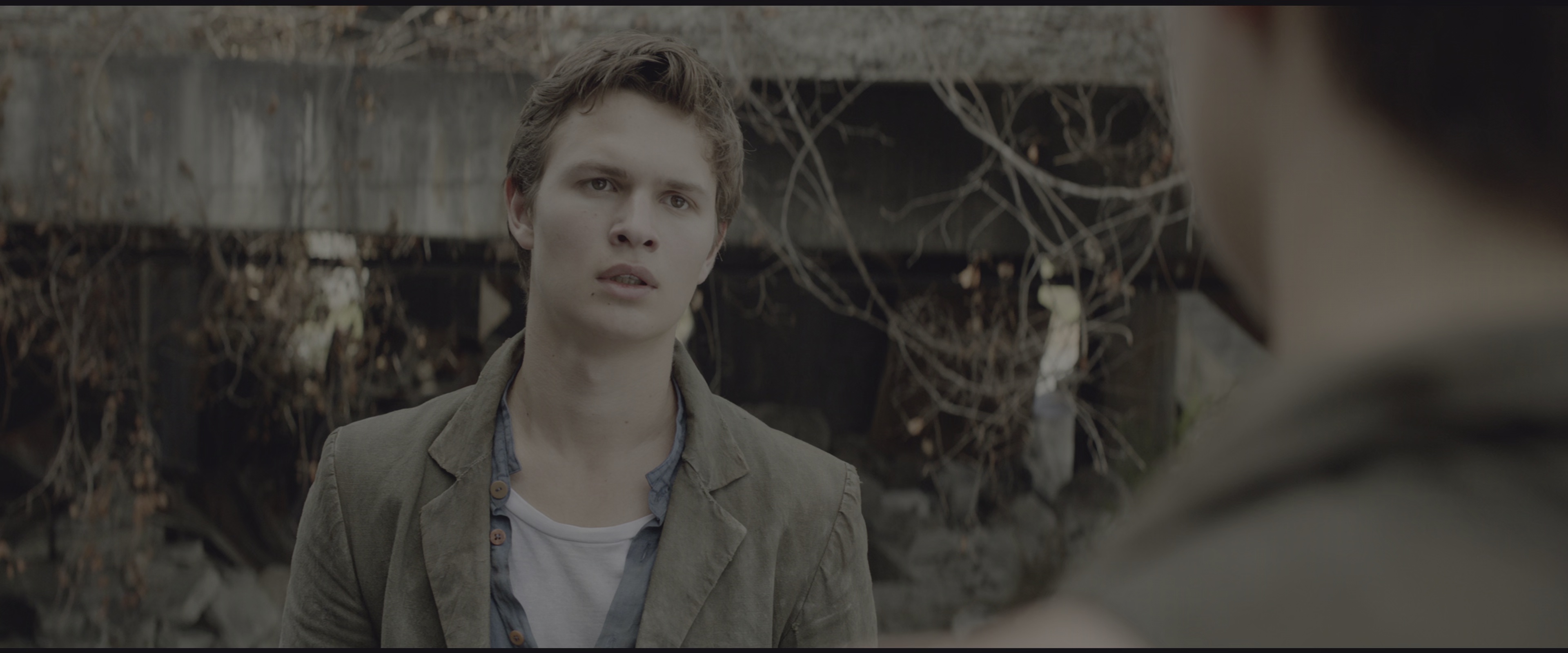 分歧者：异类觉醒 [共3部合集][简繁英字幕].2160p.BluRay.2160p.Atmos.TrueHD7.1.x265.10bit-DreamHD 27.77GB-3.png