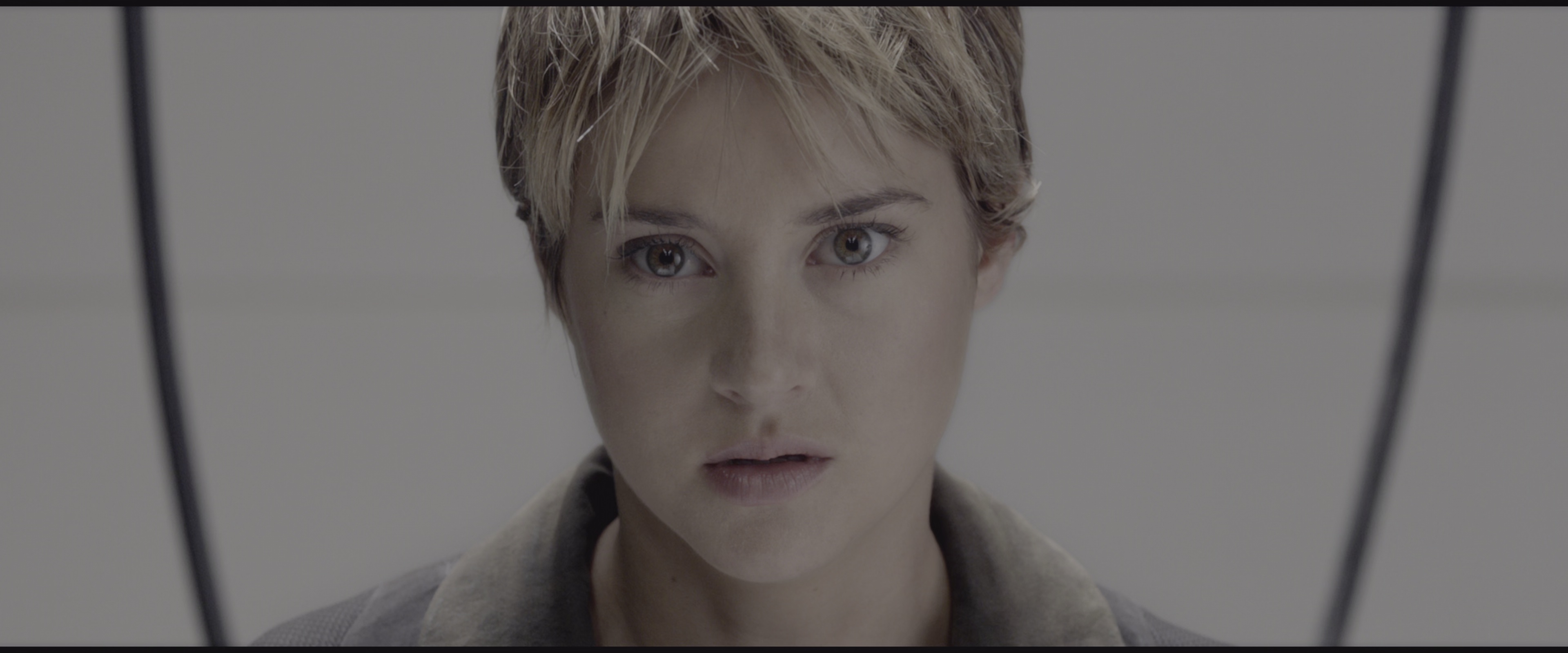 分歧者：异类觉醒 [共3部合集][简繁英字幕].2160p.BluRay.2160p.Atmos.TrueHD7.1.x265.10bit-DreamHD 27.77GB-6.png