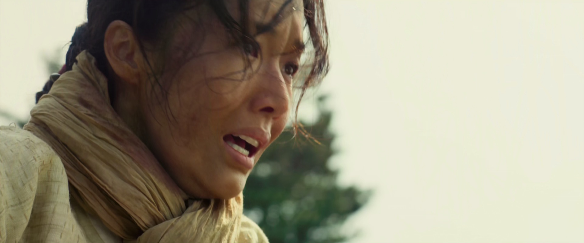 鸣梁海战 [中文字幕/特效字幕].The.Admiral-Roaring.Currents.2014.Bluray.1080p.DTS-HDMA5.1.x265.10bit-DreamHD 9.42GB-6.png