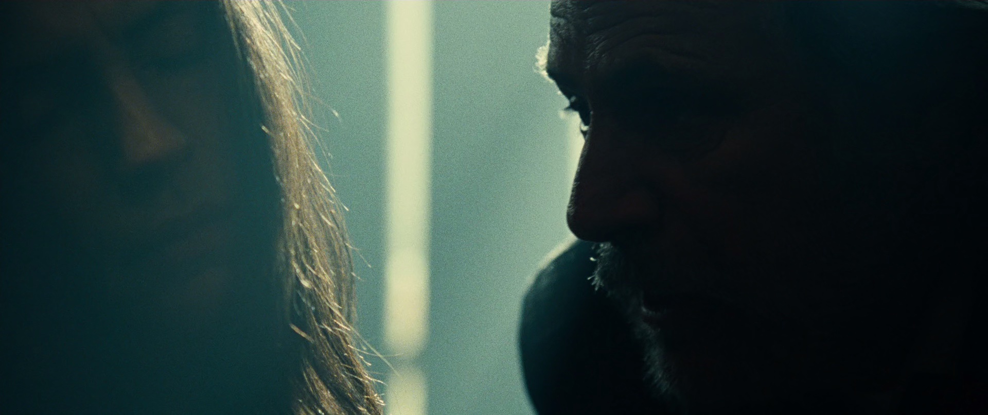 飓风营救2 [国英多音轨/特效中文字幕].Taken.2.2012.BluRay.1080p.DTS-HD.MA.5.1.2Audio.x265.10bit-DreamHD 11.26GB-6.png