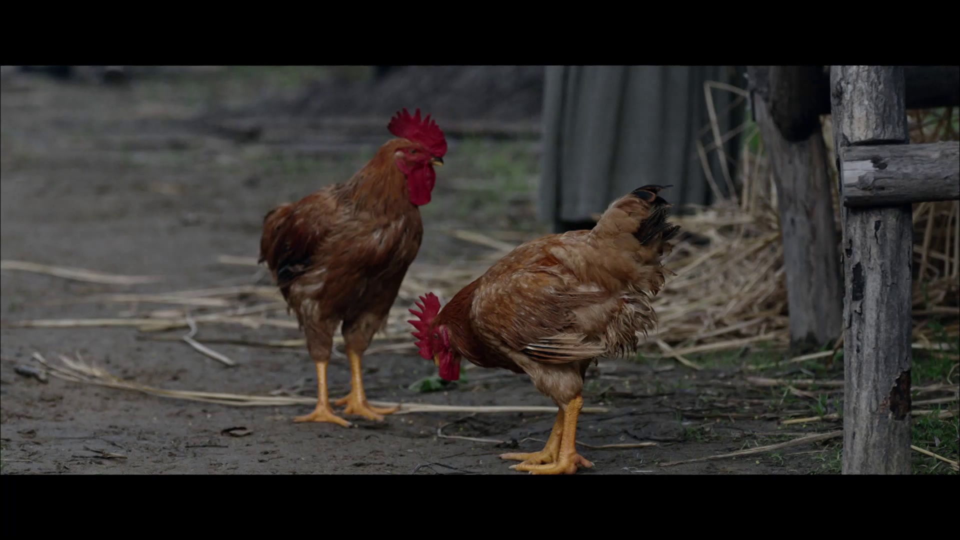 破天煞 [国语配音/中文字幕].Breaking.The.Heavenly.Evil.2025.1080p.CATCHPLAY.WEB-DL.H264.AAC-QuickIO 2.34GB-4.png