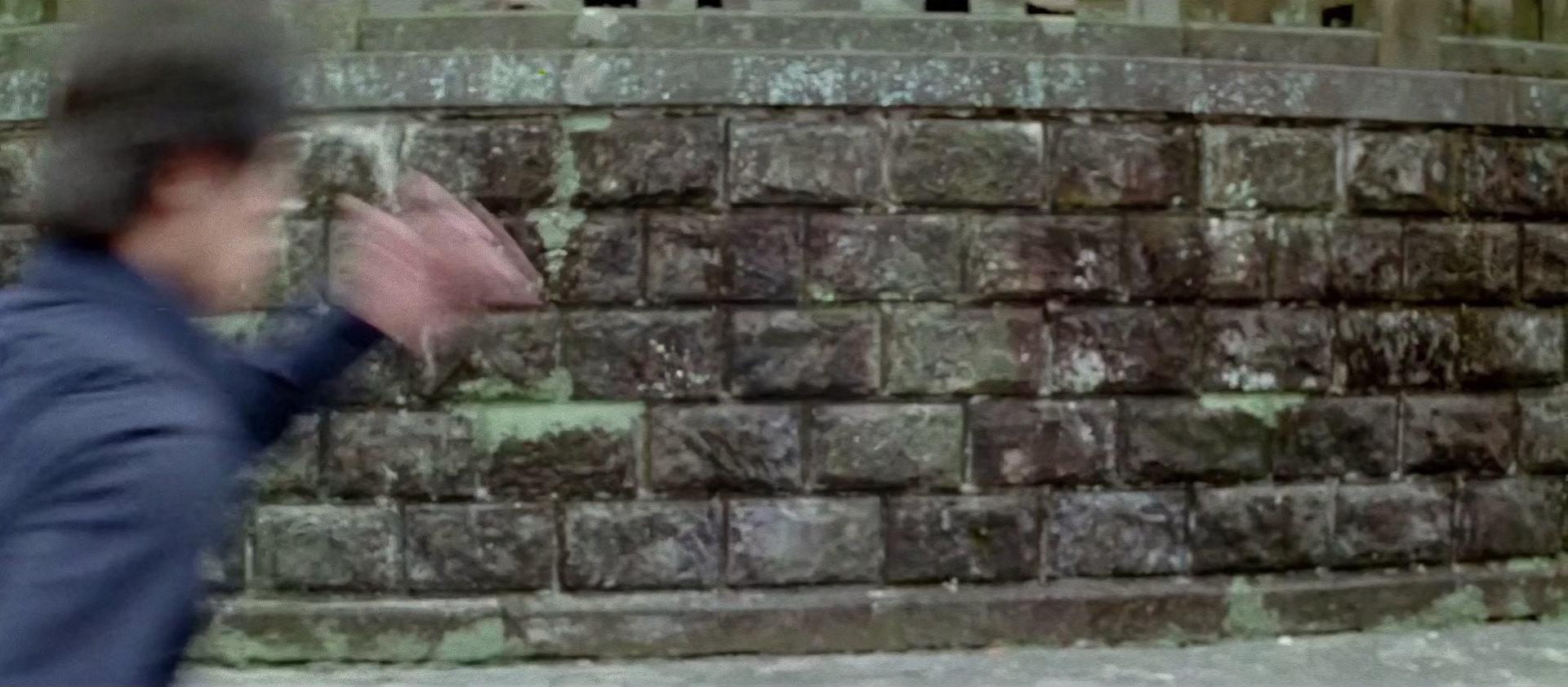 一代猛龙 [国语配音/中文字幕].Dragon.Dies.Hard.1975.BluRay.1080p.DD.2.0.x265.10bit-DreamHD 4.97GB-2.png