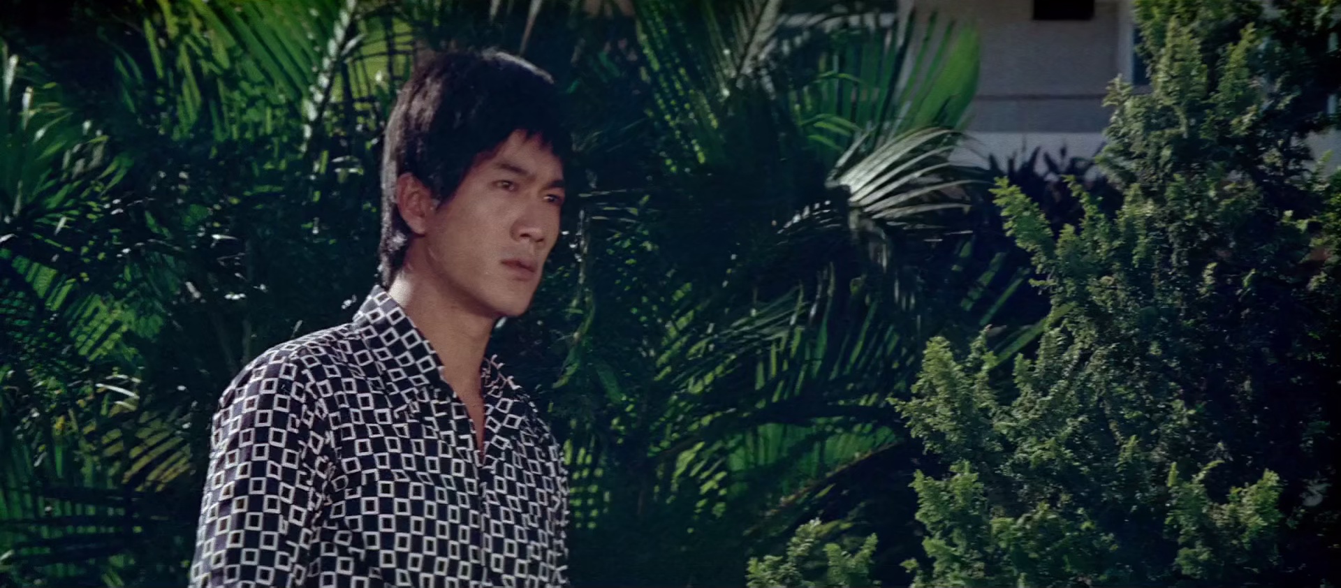 一代猛龙 [国语配音/中文字幕].Dragon.Dies.Hard.1975.BluRay.1080p.DD.2.0.x265.10bit-DreamHD 4.97GB-6.png