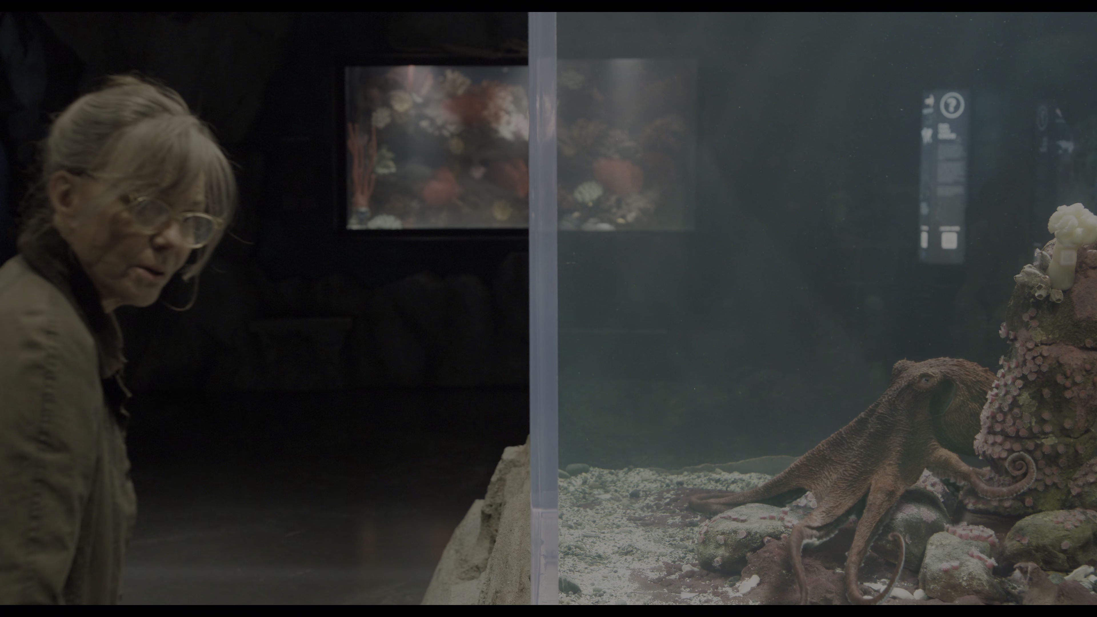 尤为明亮的生物 [简繁英字幕].Remarkably.Bright.Creatures.2026.2160p.NF.WEB-DL.DDP5.1.Atmos.HDR.H.265-PandaQT 16.08GB-2.png