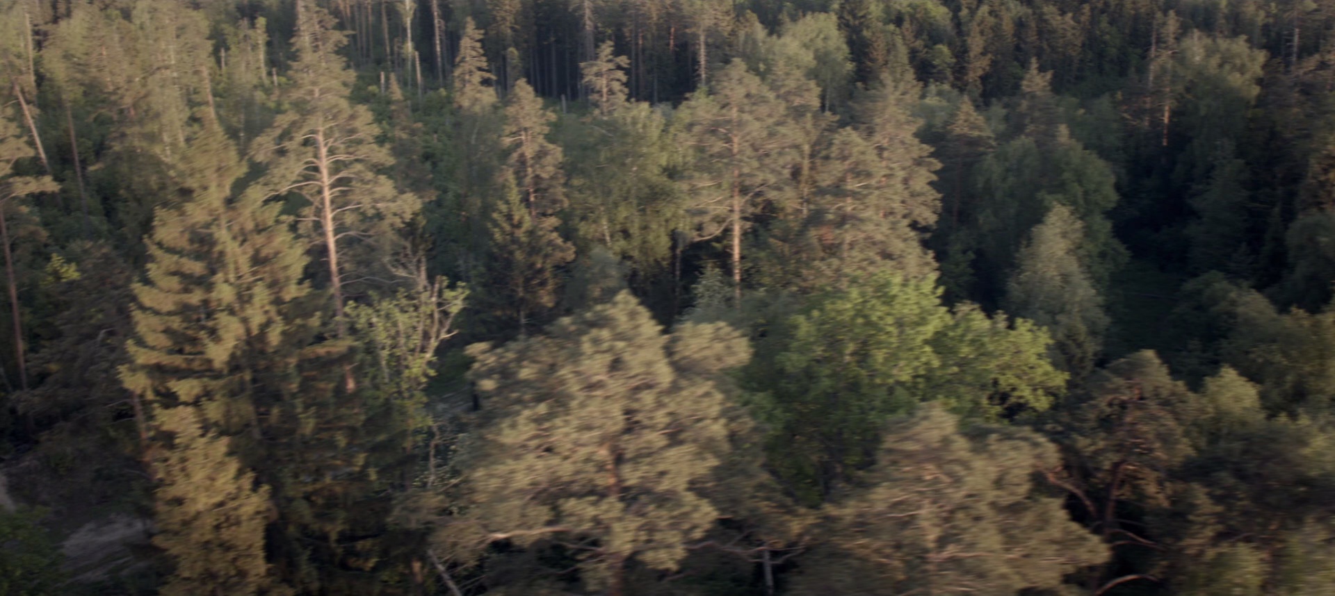 卡拉什尼科夫 [中文字幕].Kalashnikov.2020.BluRay.1 080p.DTS-HD.MA5.1.x265.10bit-DreamHD 8.19GB-7.png
