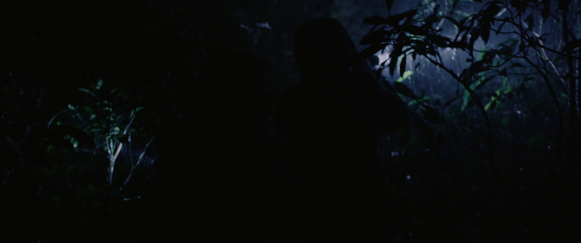 流水落花 [国语音轨/简繁英字幕].Lost.Love.2022.Bluray.1080p.TrueHD7.1.x264-DreamHD 13.09GB-6.png