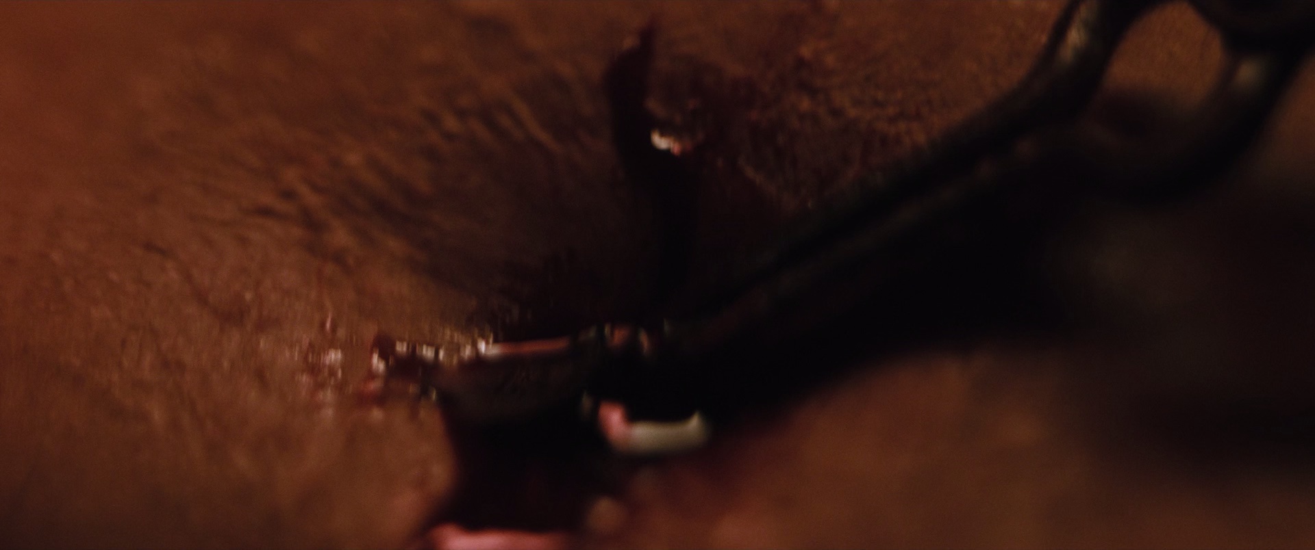 怒火战猴 [简繁英字幕].Monkey.Man.2024.BluRay.1080p.TrueHD7.1.x265.10bit-DreamHD 8.14GB-4.png