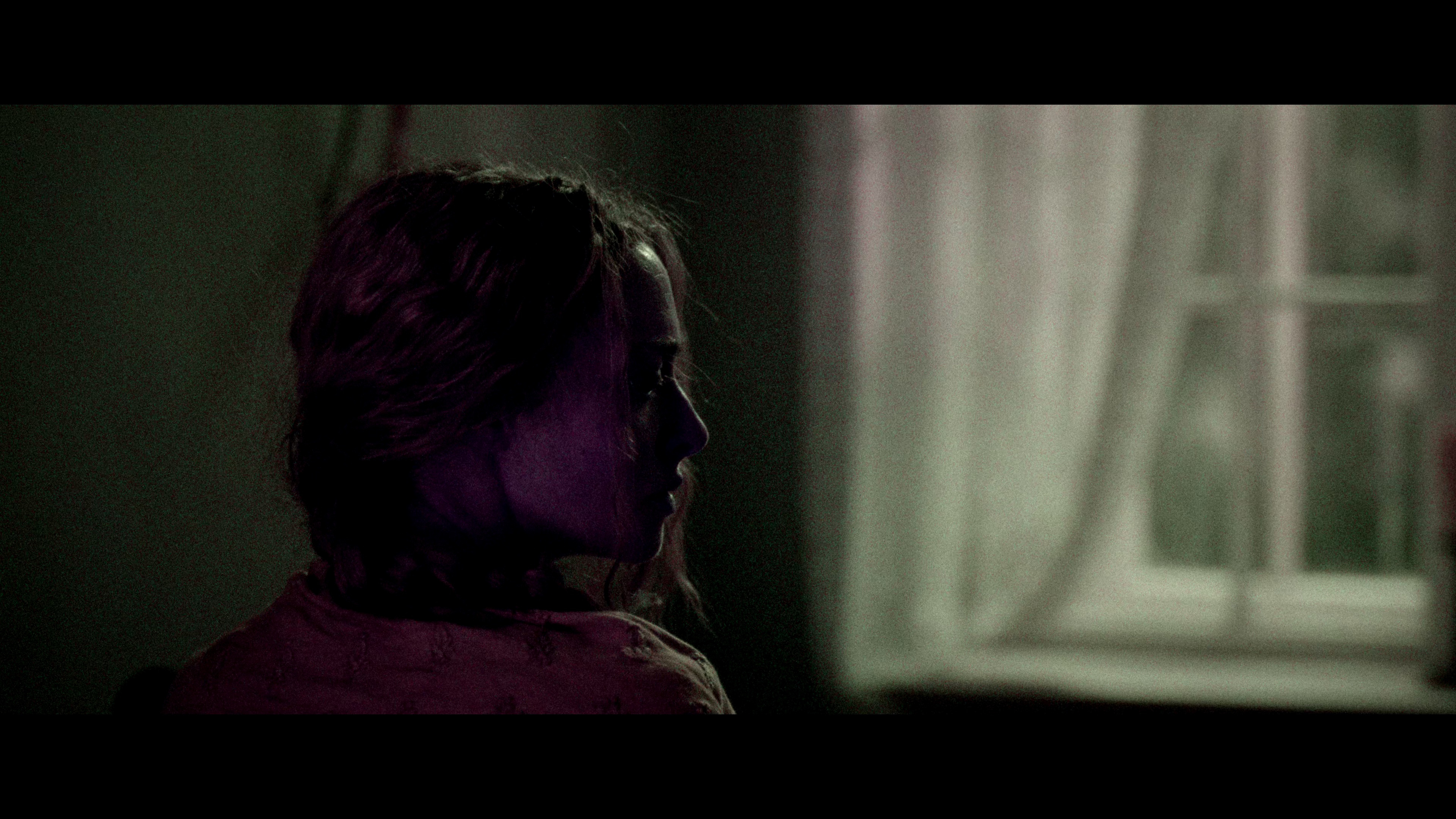 安·李的遗嘱 [杜比视界版本][简繁英字幕].The.Testament.of.Ann.Lee.2025.2160p.DSNP.WEB-DL.DDP5.1.DV.H.265-PandaQT 16.15GB-5.png