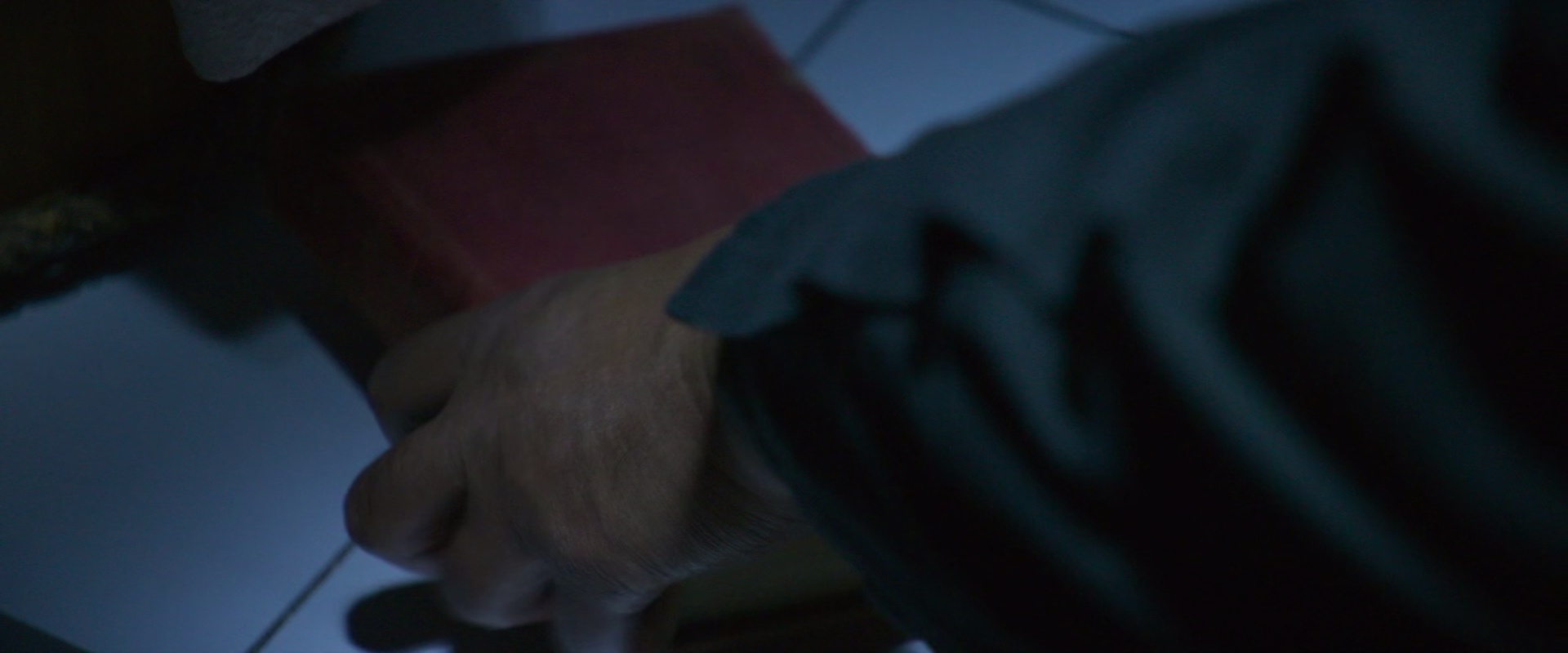 731 [国语配音/中文字幕].Evil.Unbound.2025.BluRay.1080p.TrueHD5.1.x265.10bit-DreamHD 7.46GB-3.png